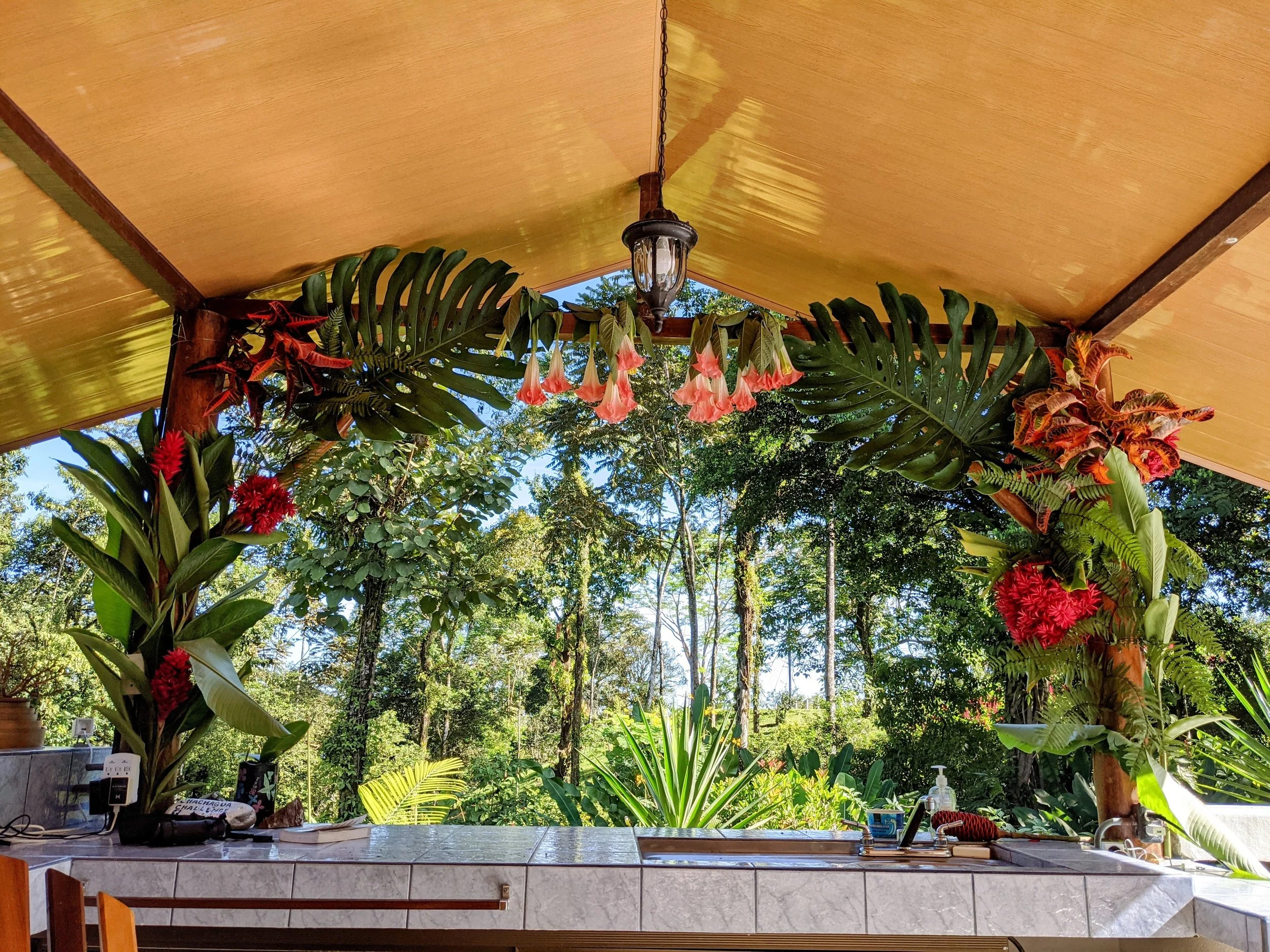 Lush tropical greenery seen from a covered patio with floral decorations, including pink flowers hanging from the ceiling and large green leaves, with a countertop and various items in the foreground.