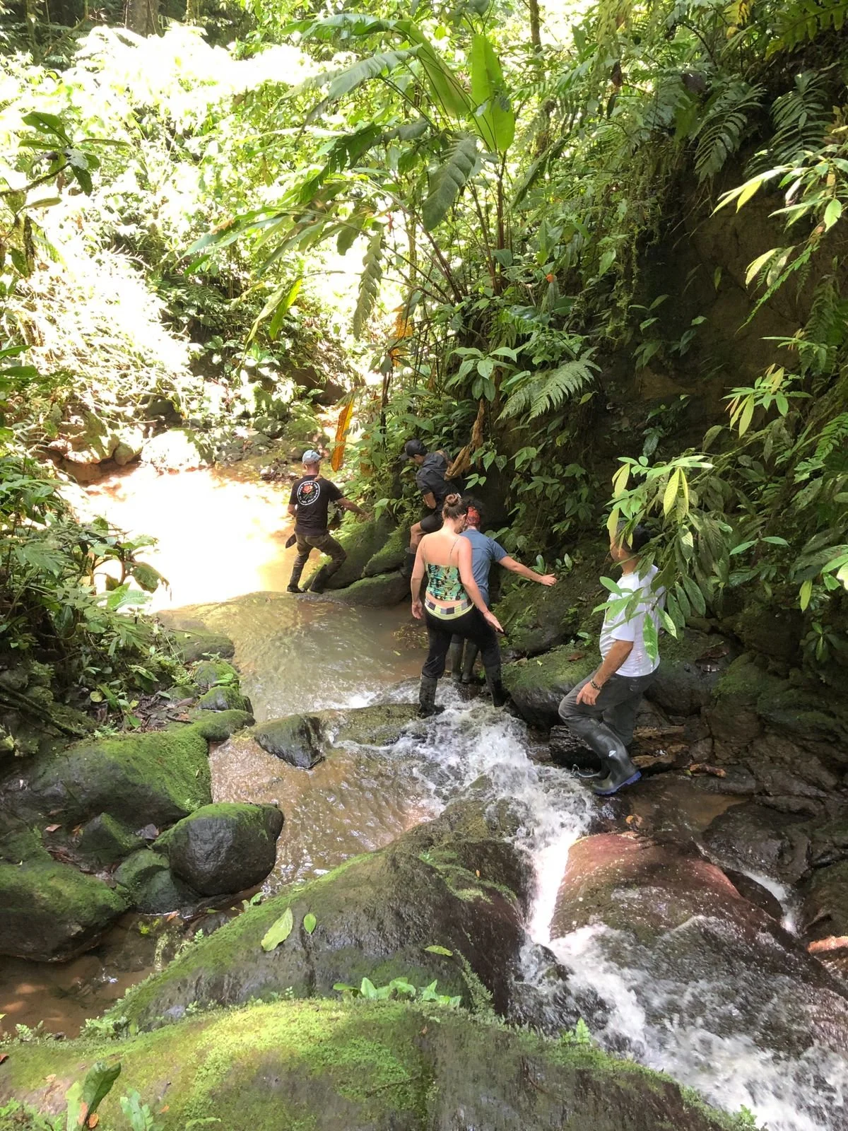 WhatsApp Image 2023-08-27 at 6.12.20 PM (1).jpeg