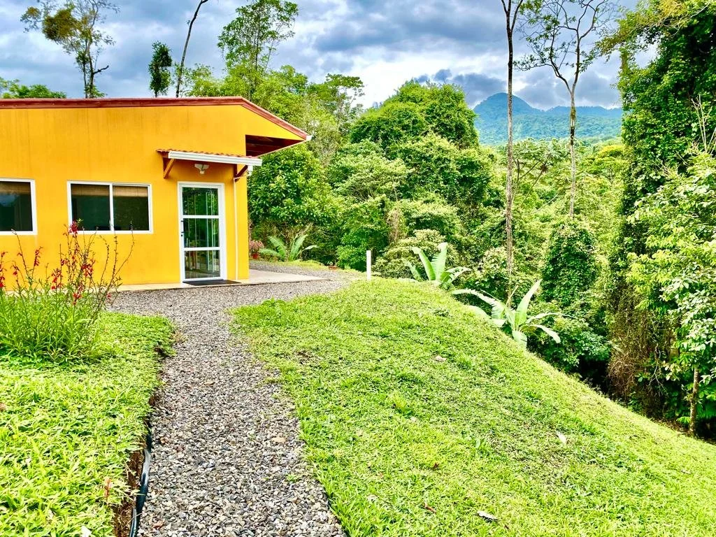 Yellow house with white window frames and a glass door, surrounded by lush green foliage and trees in a mountainous area.