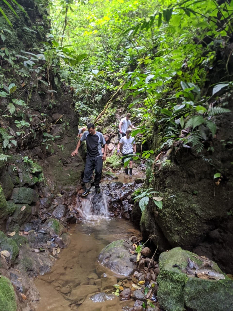 WhatsApp Image 2020-03-14 at 5.39.41 PM.jpeg