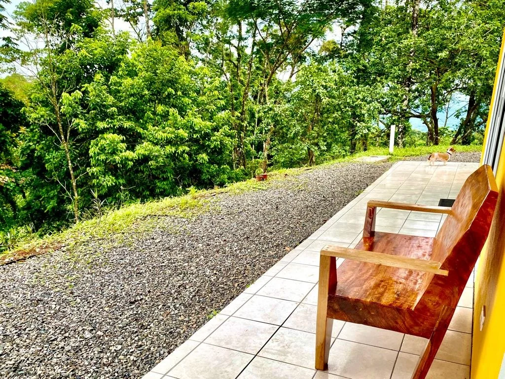 A patio with a wooden bench and tiles, overlooking a gravel yard and lush green trees in the background, with a dog lying on the gravel.