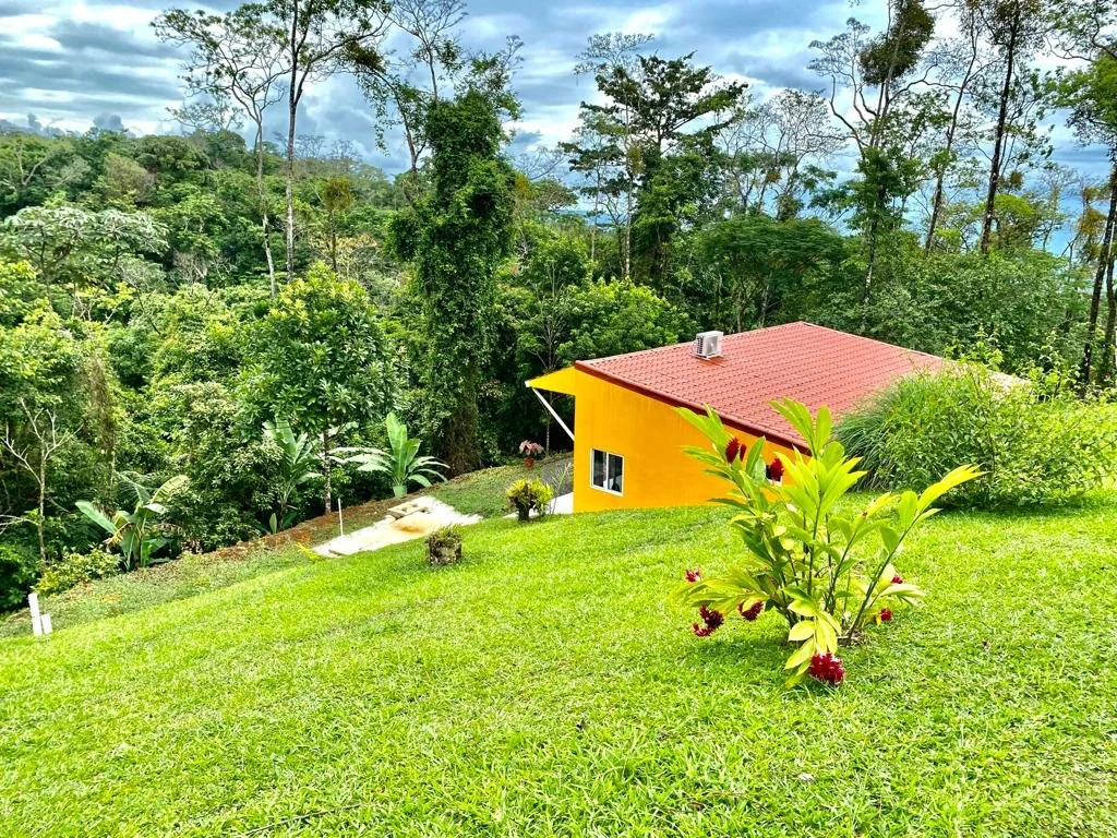 A yellow house with a red roof situated on a lush green hillside surrounded by trees and foliage.