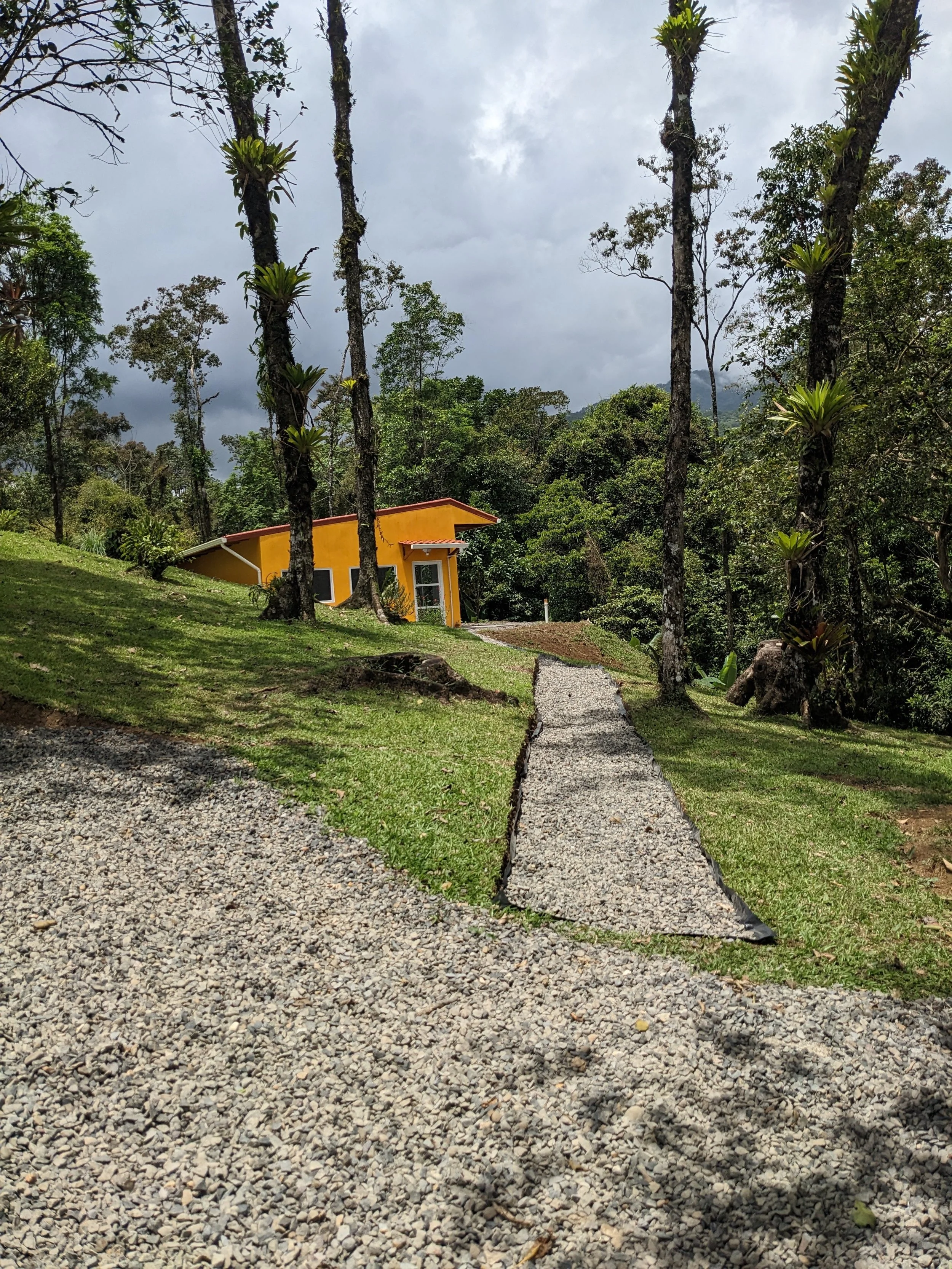 A yellow house with a red roof in a lush, green, forested area, with a gravel pathway leading up to it amid tall trees and cloudy sky.