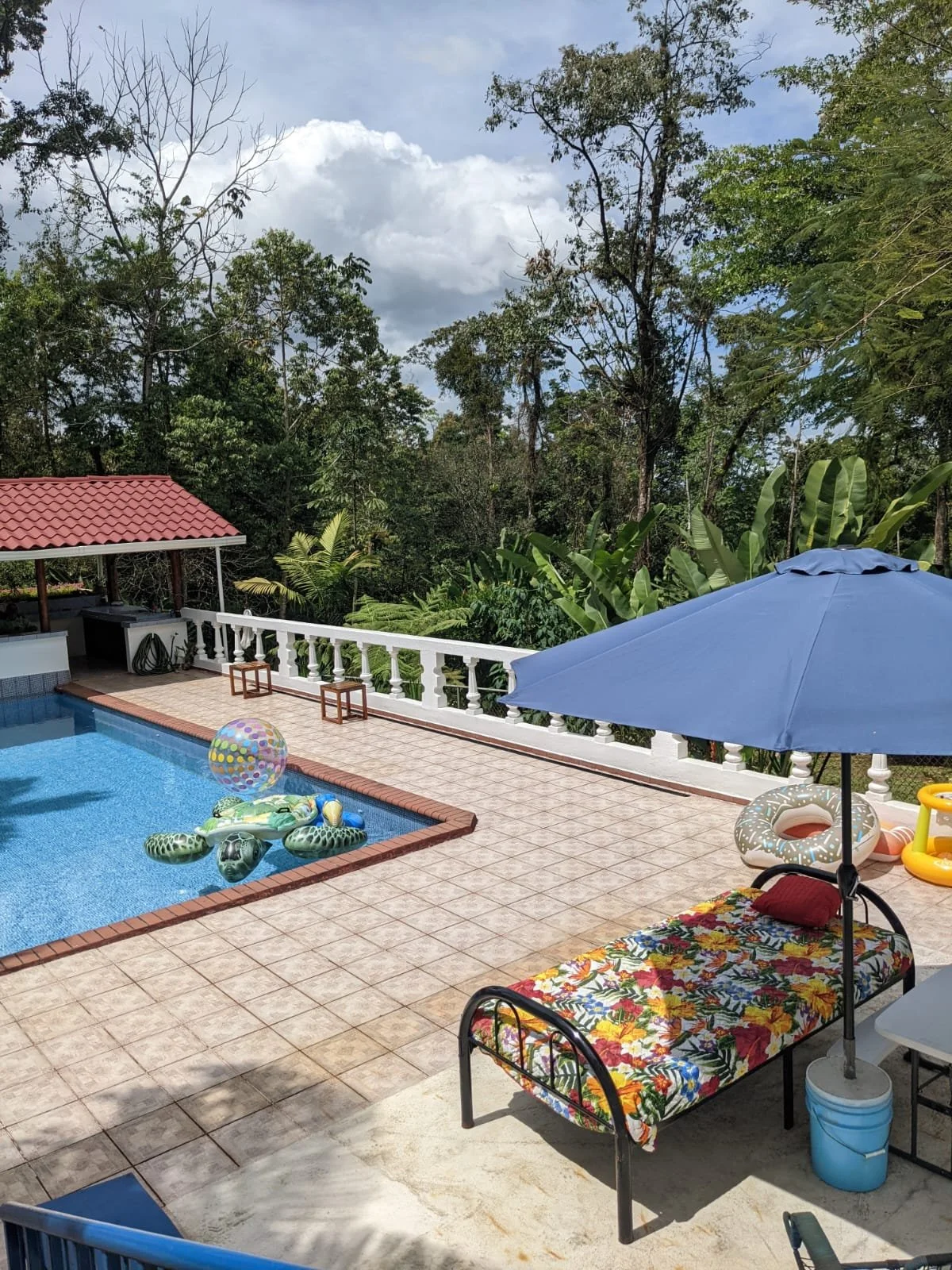 Poolside area with inflatable floaties, beach ball, and a turtle in the pool, sunny sky, surrounded by trees, with a lounge chair, an umbrella, and a blue cooler nearby.
