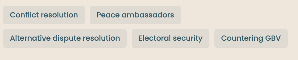 Topic tags for conflict resolution, peace ambassadors, alternative dispute resolution, electoral security, and countering GBV
