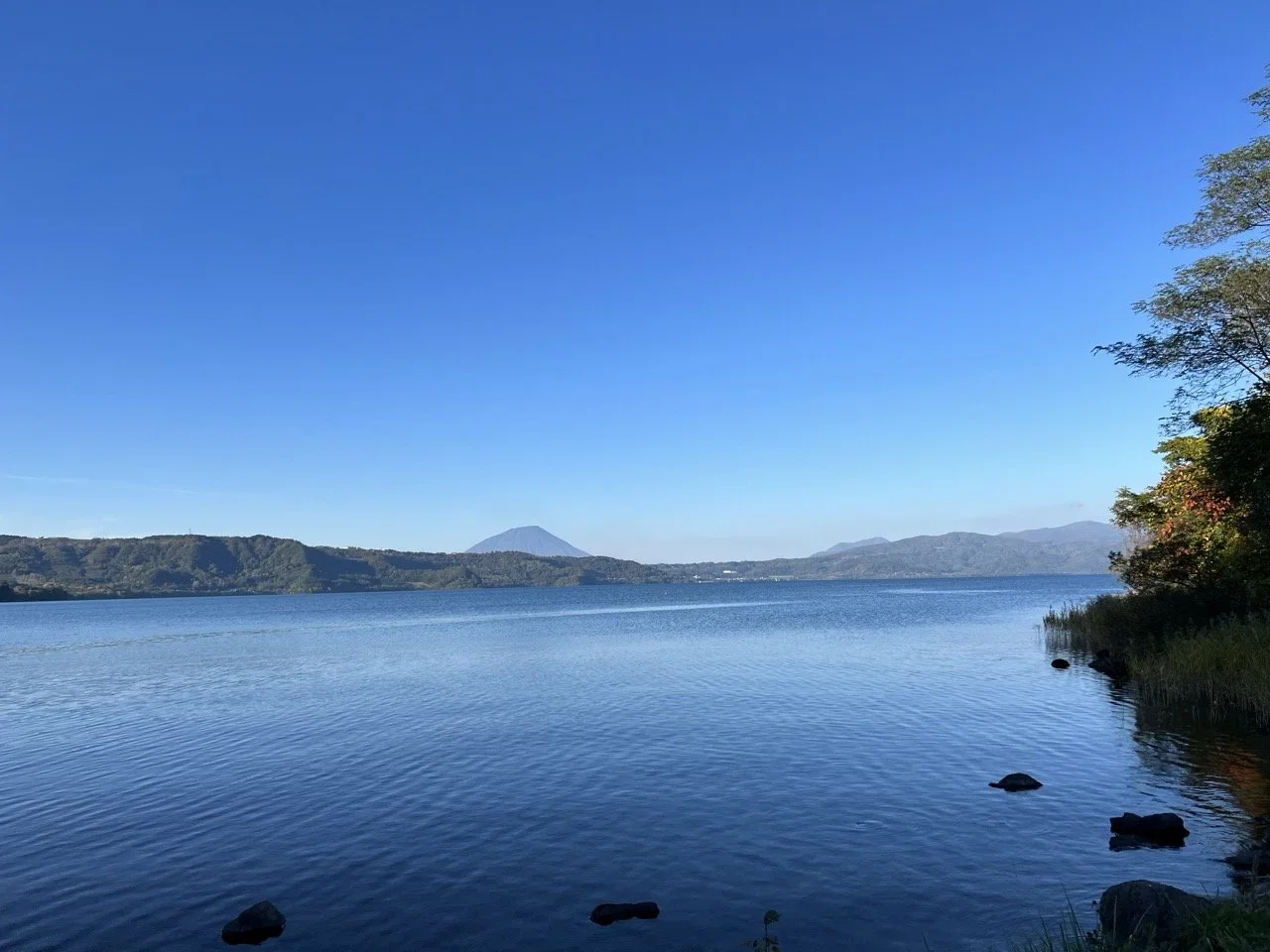 IMG_2207+Large.webp