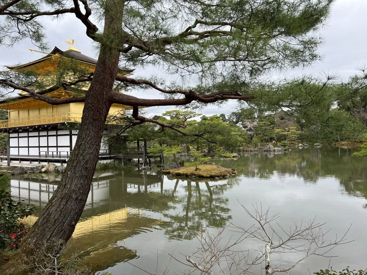 This Week @ PacSet: Sake Secret, ANN in Japan, and…?