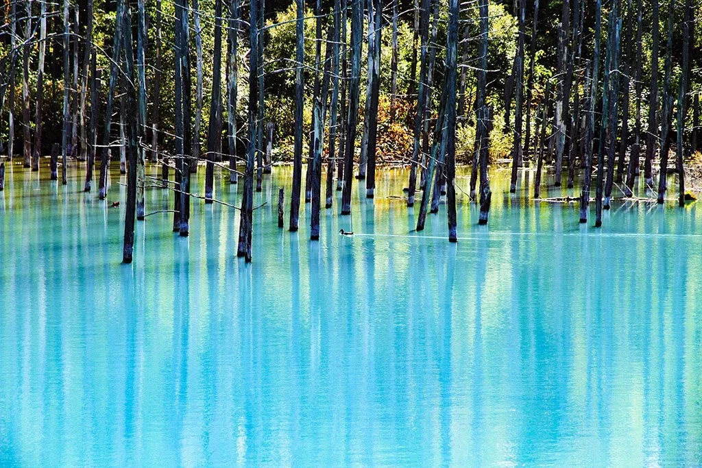 bieipond.webp