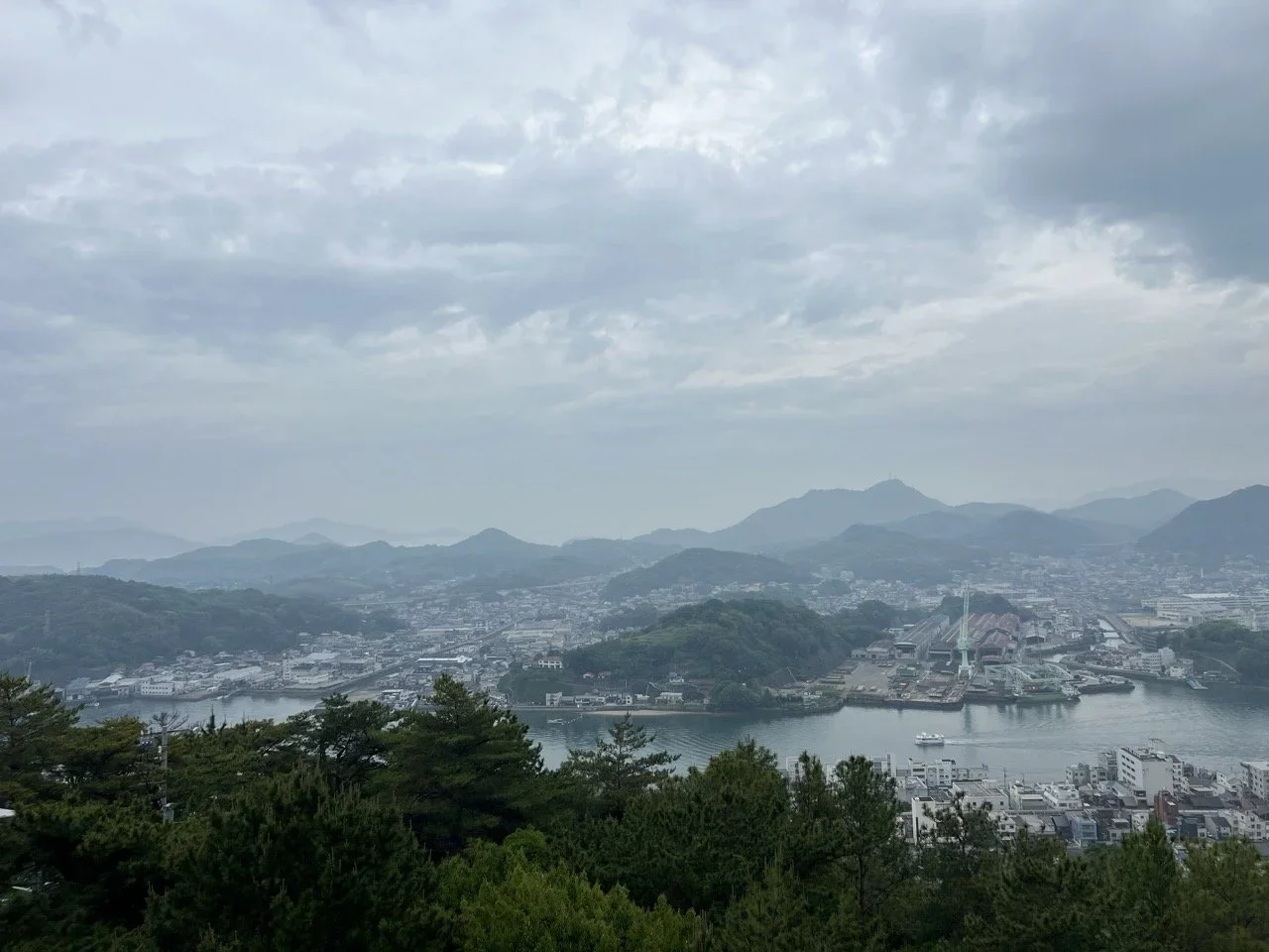 IMG_7294+Large.webp
