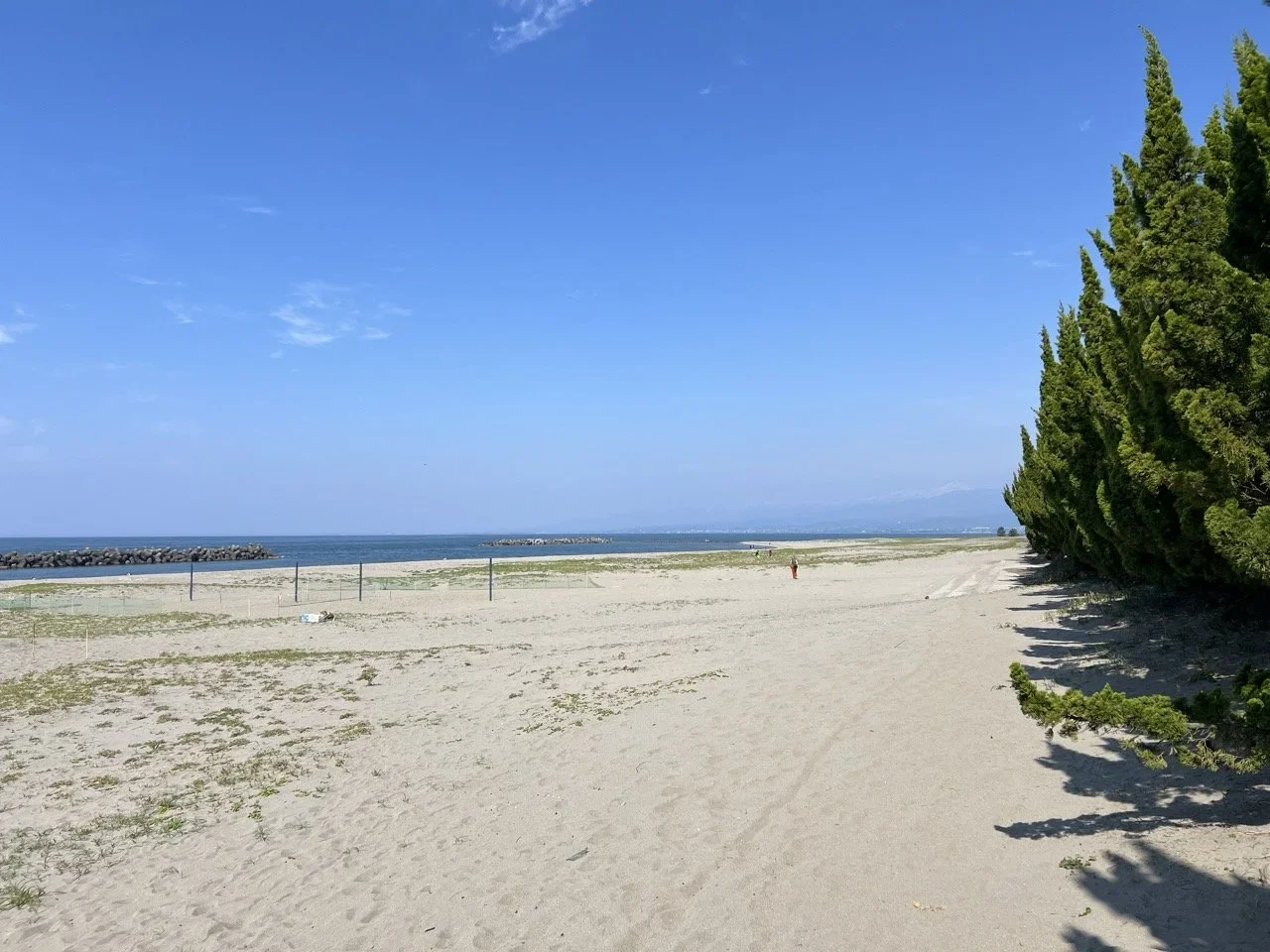 IMG_5969+Large.webp