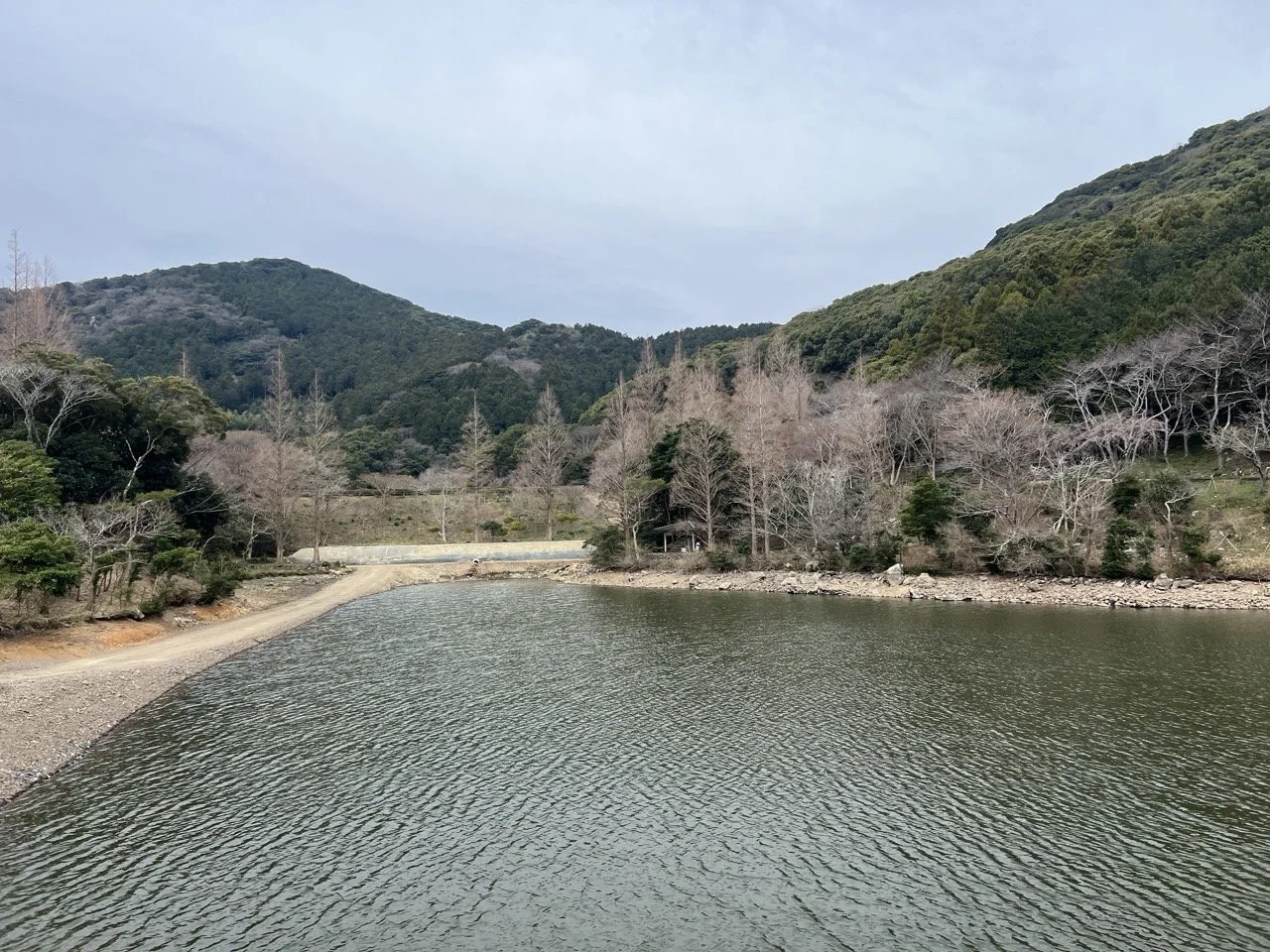 IMG_0426 Large.jpeg