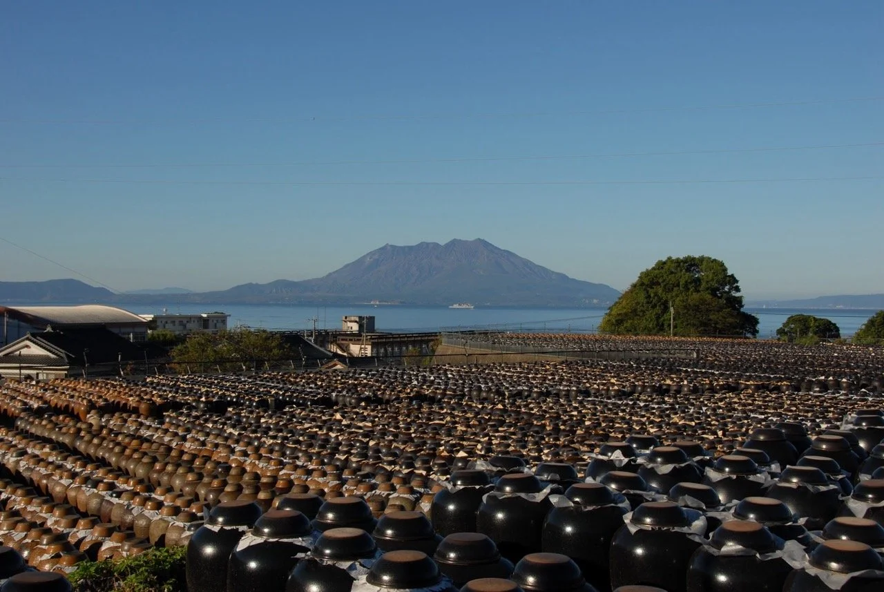 Locally made black vinegar cures in giant jars under the sun on a hillside overlooking the volcanic island of Sakurajima in Kagoshima Bay. Photo Credit: Kirishima Tourism Bureau.