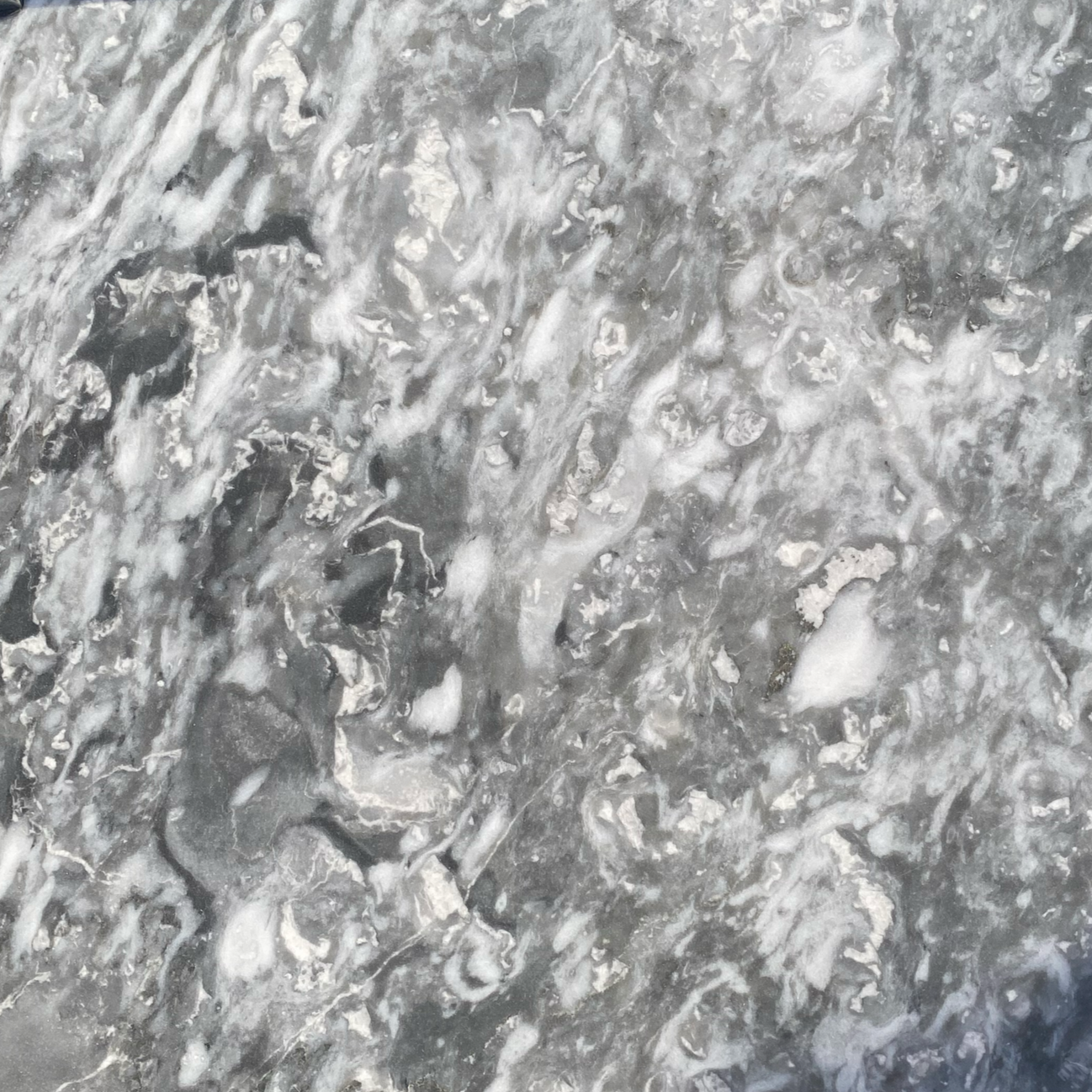 Silver Grey