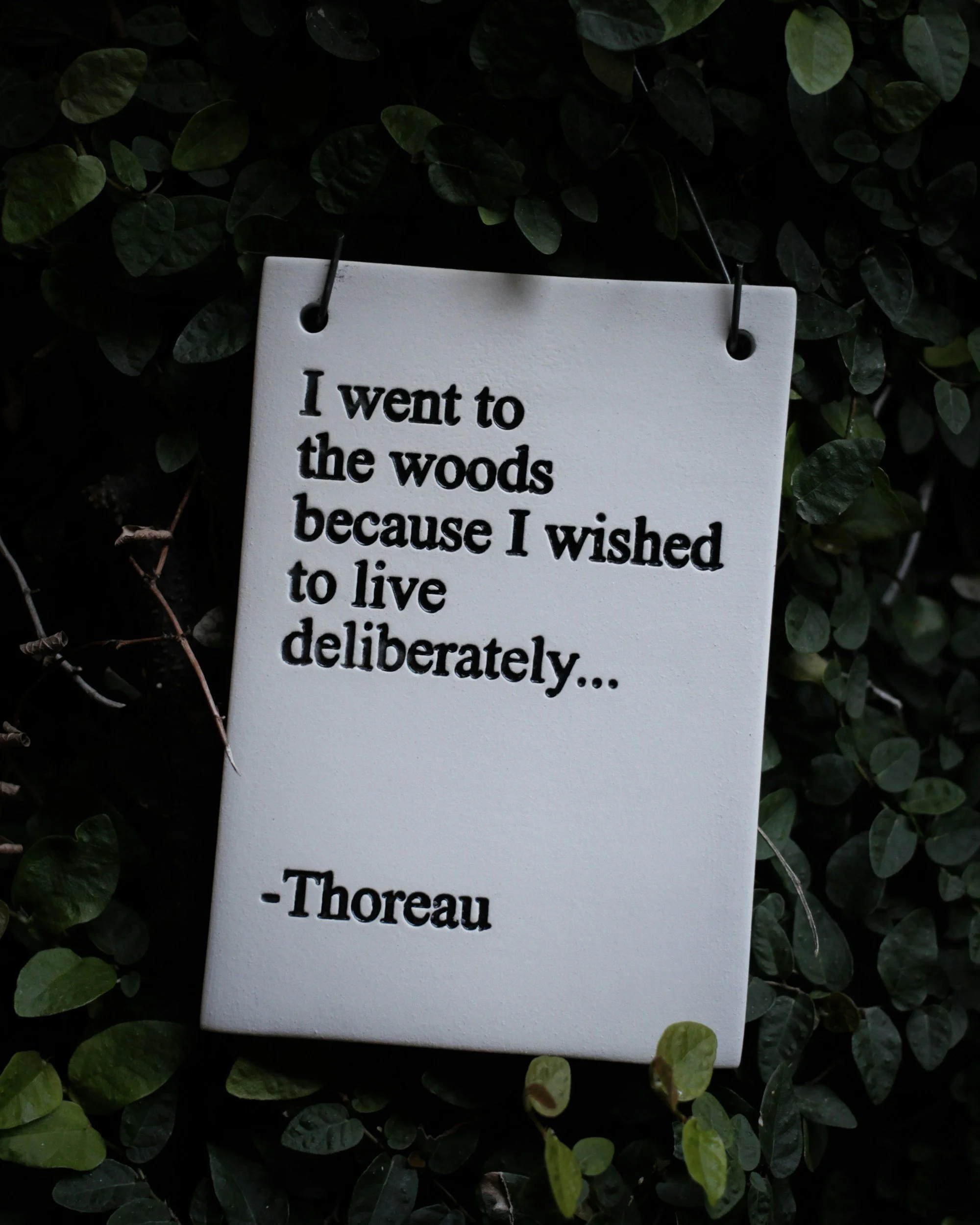 A white plaque with the quote 'I went to the woods because I wished to live deliberately...' by Thoreau, hanging among green leaves.