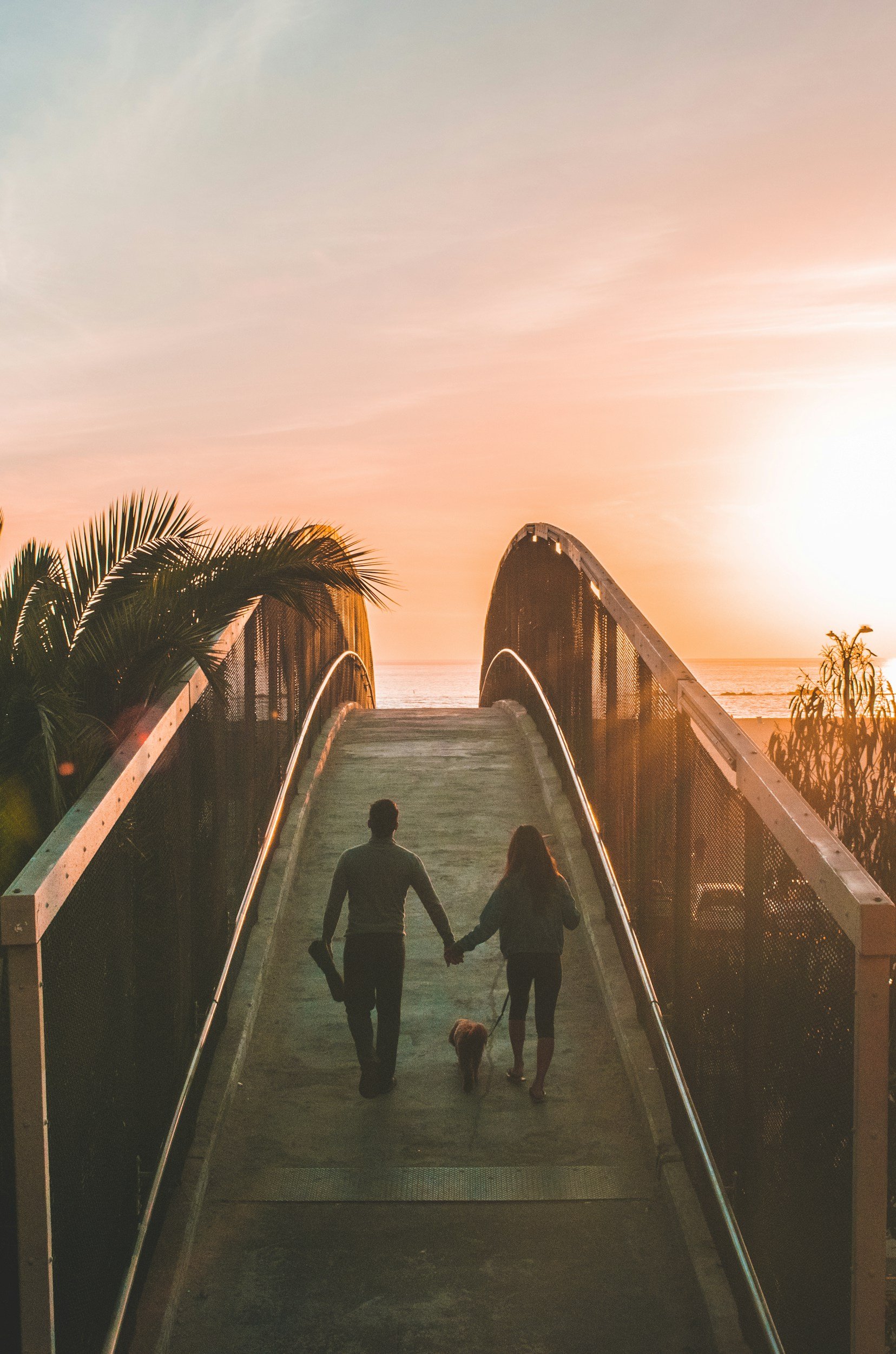 Couple walking a dog on a bridge at sunset with palm trees nearby