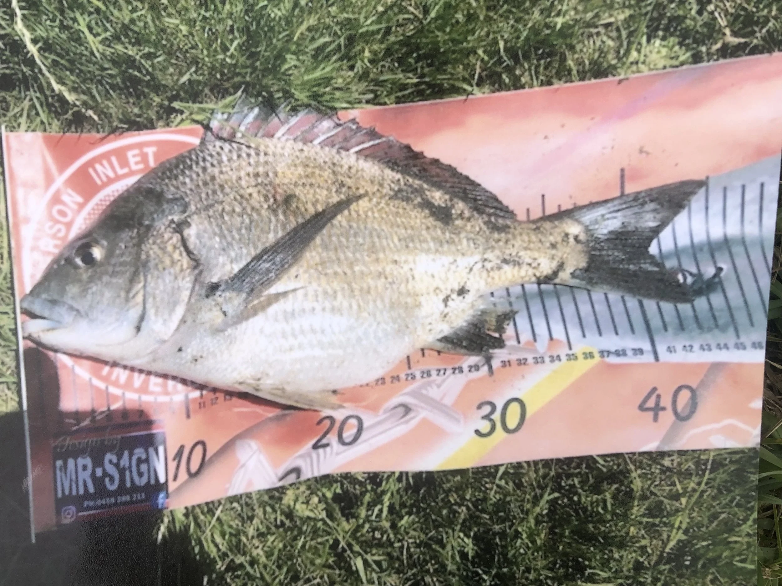 Fishing Comp Weigh In &amp; BBQ