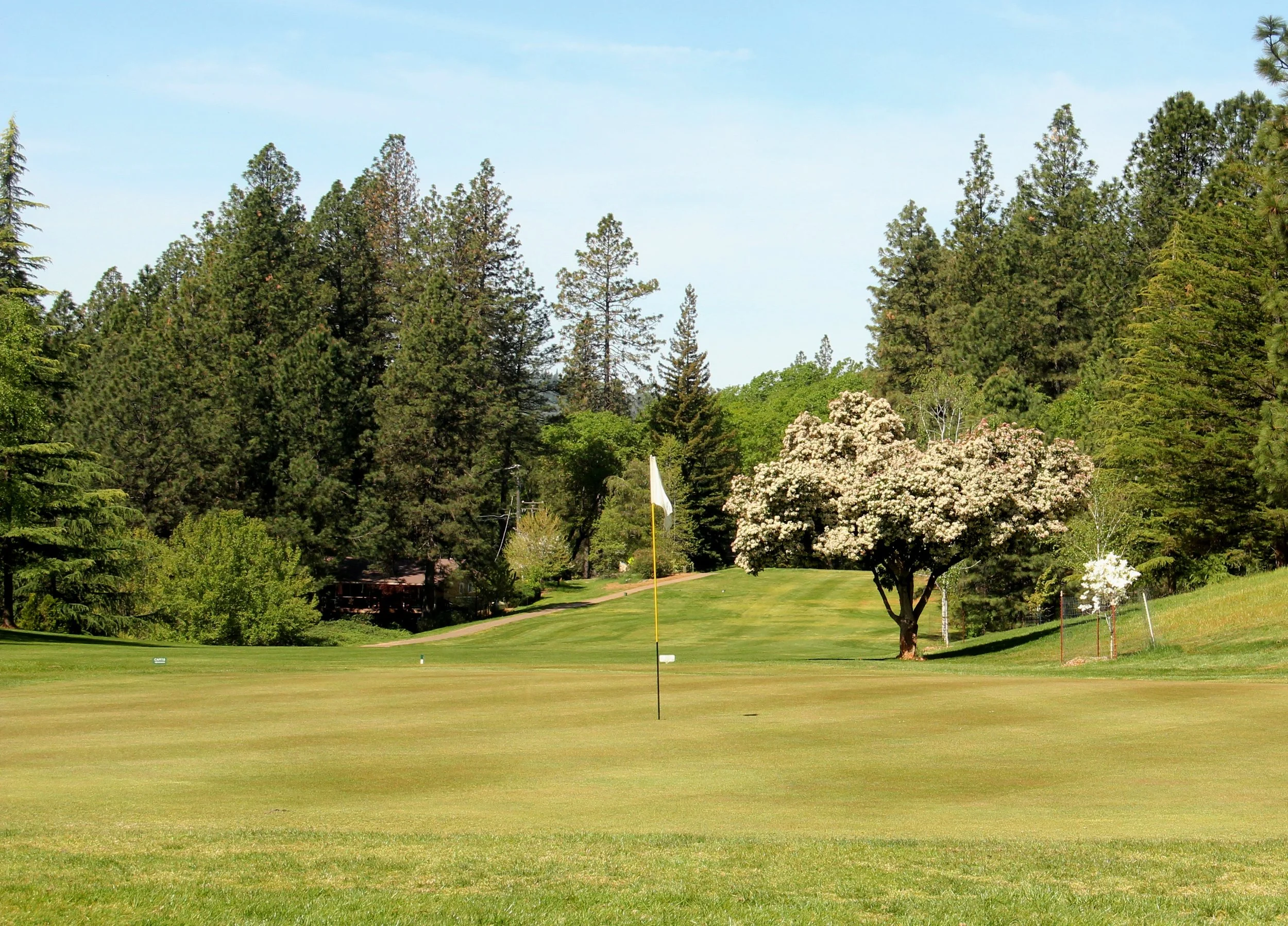 Golf course community in Alta Sierra, Nevada County, California, featuring landscaped greens and scenic surroundings.