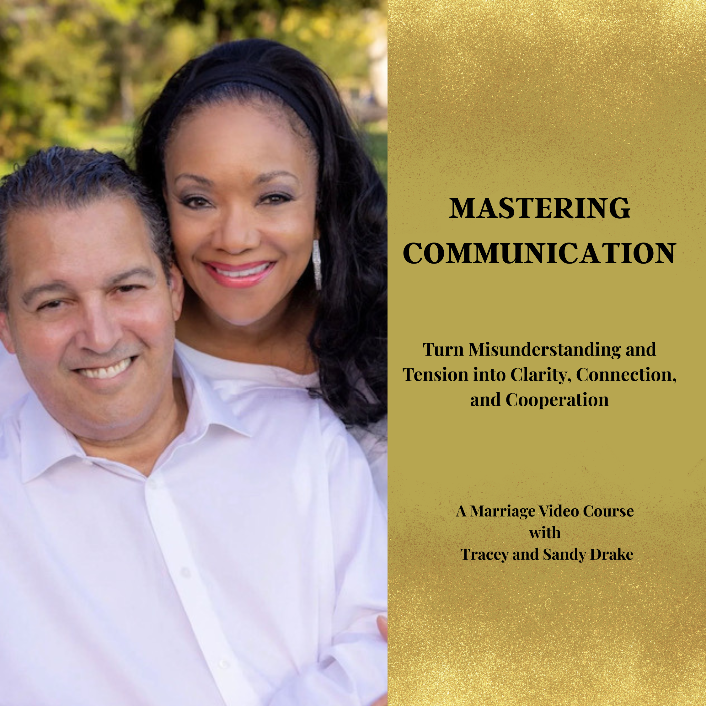 Mastering Communication-Downloadable Video Course