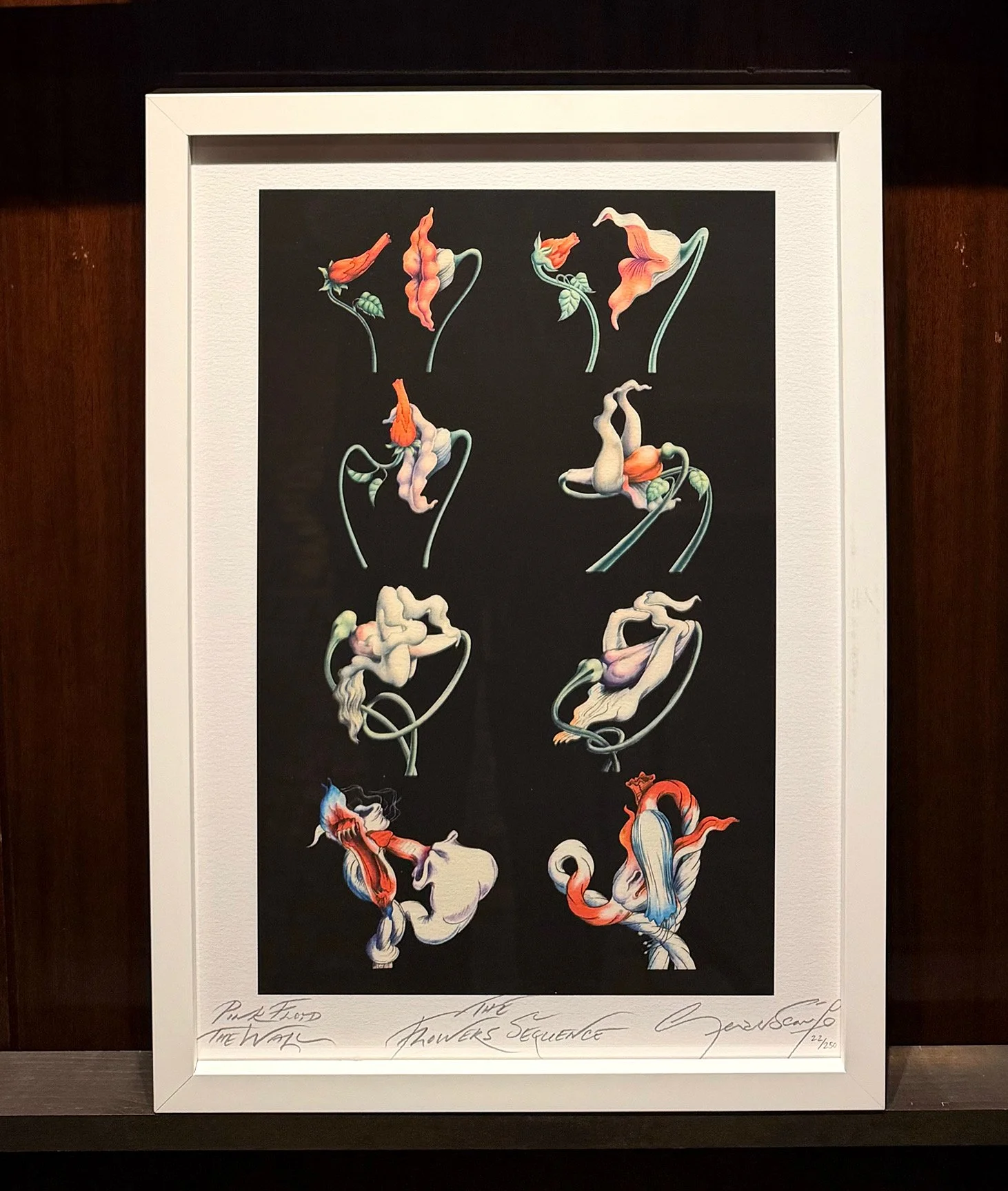 GERALD SCARFE ‘The Flowers Sequence’ 23.23” X 16.54” Artist Print