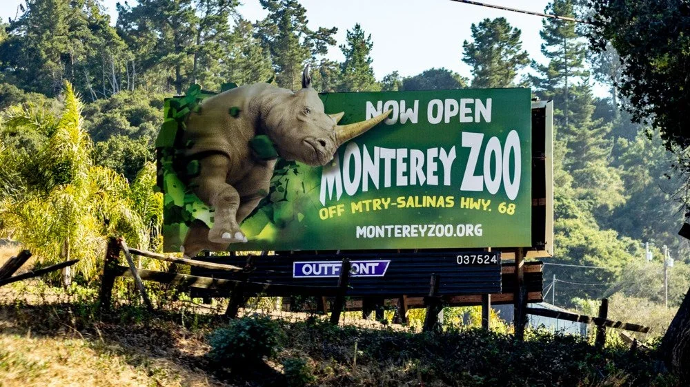 MontereyZoo-HeidiRodinskyFresno-After.webp