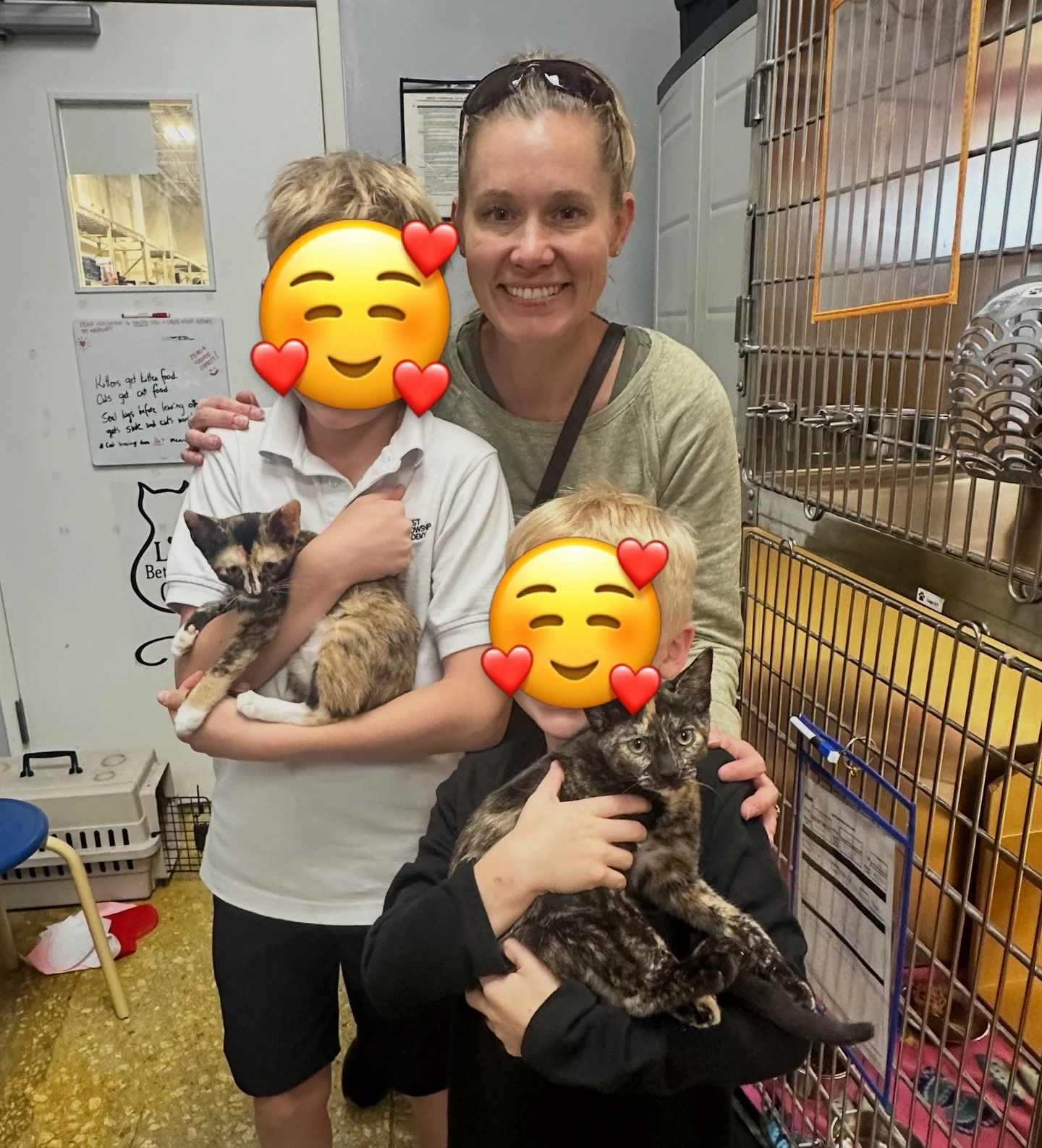 Happy tails from last week! 🐾

Congratulations Annabeth, Percy, Tiny Tim, Matcha, New Cheddar, and Casper!! These sweet babies are officially home 💛

None of this would have been possible without the incredible fosters and volunteers who poured the
