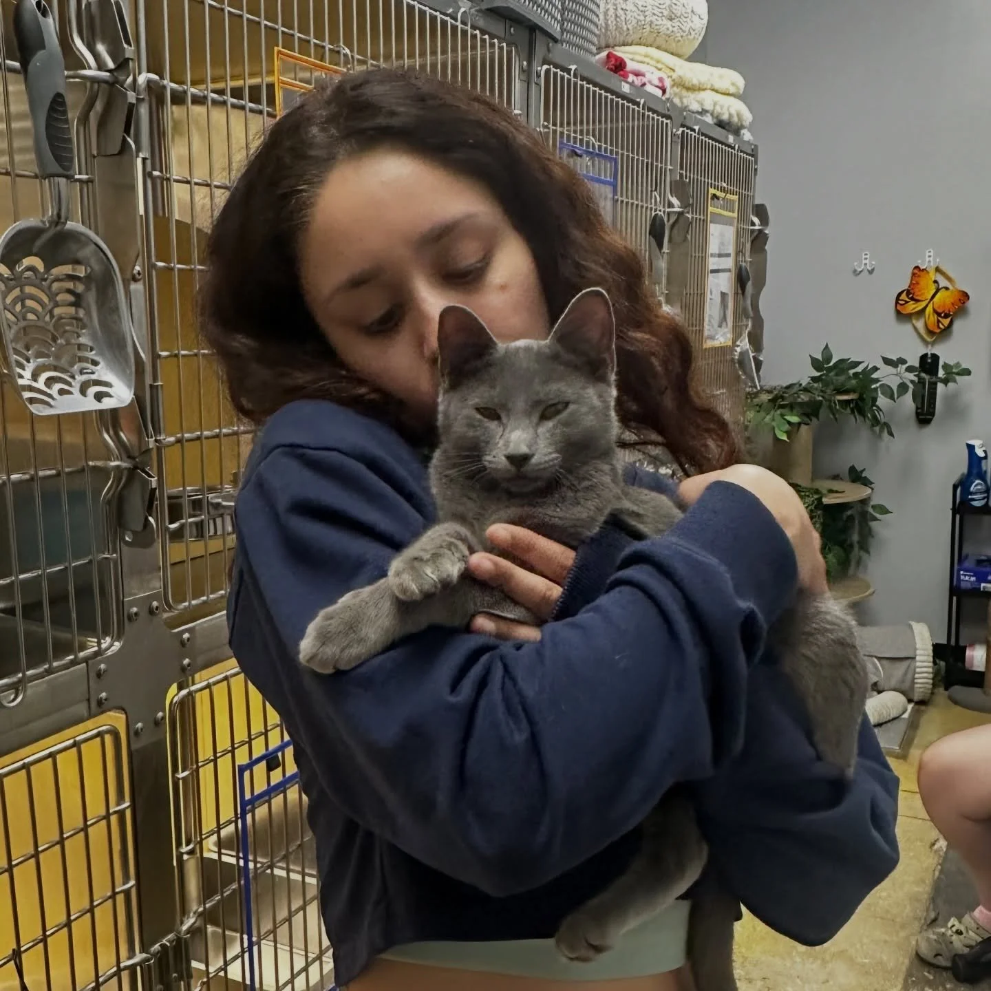 Happy Tails 🐾✨

Hushi, Skiddy, Shamrock, and Outlet are officially HOME! 🏡💛
Watching these babies go from rescue to loved family members never gets old.

Every goodbye is the goal, and every adoption makes space for the next life we can save.

Tha