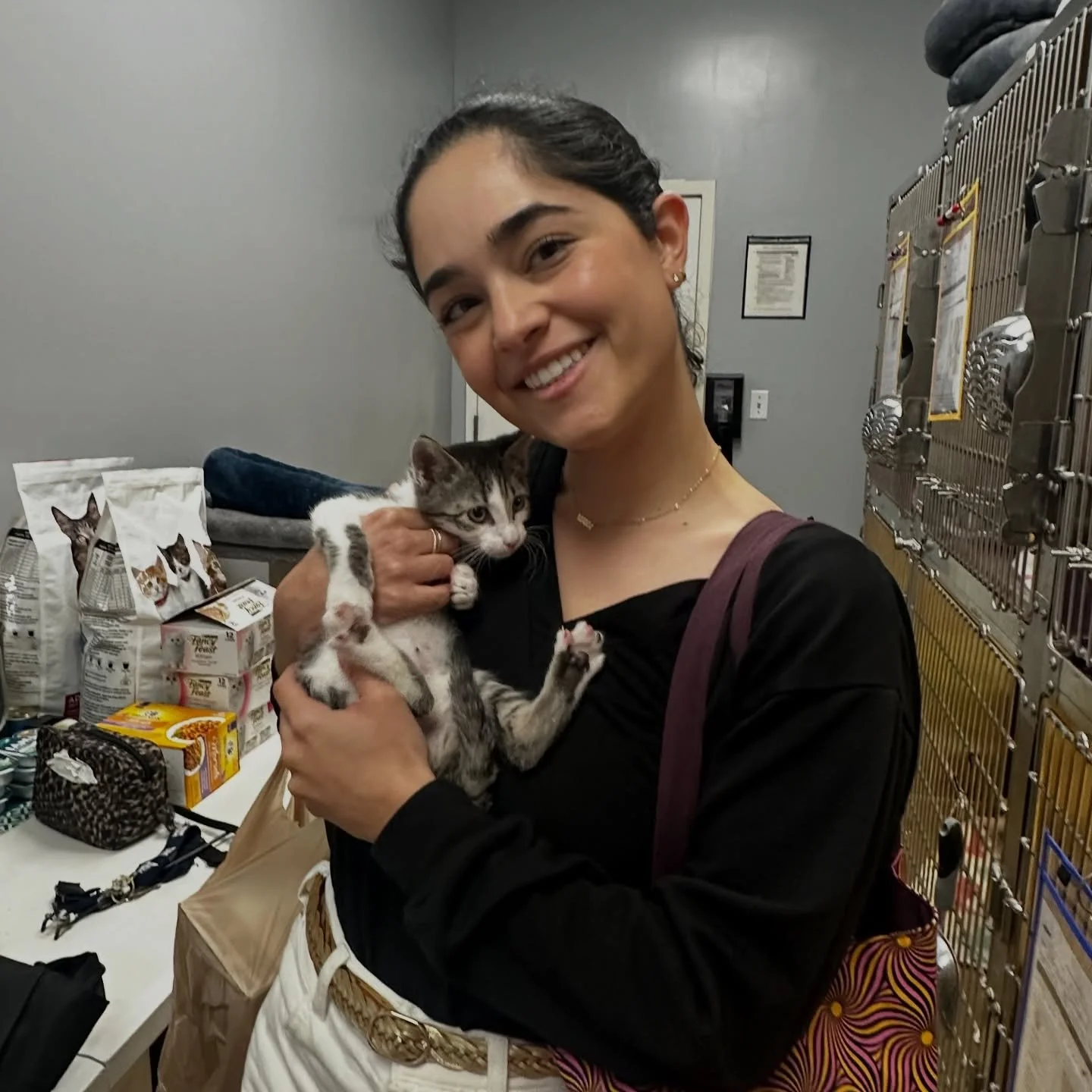 Last week was a doubles kind of week&hellip; and we are SO here for it 🥹✨

Happy tails to Samsung, Harmony and Haze (we love a double adoption!!), Sunny and Posie &mdash; another double adoption &mdash; and Jam and Jelly&hellip; a third double adopt