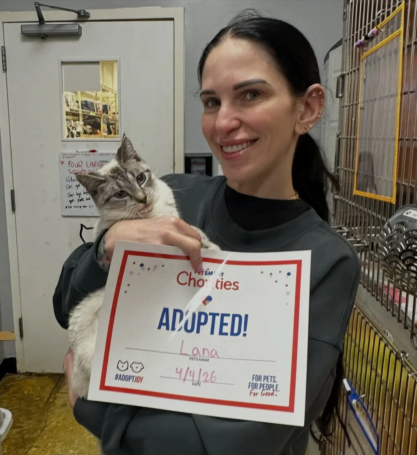 Happy Tails Lana, Chip, Ozzy, Oskar, and ALOE!!!!! 🥹💗

Our sweet girl Aloe has been with us for so long&hellip; she was about to hit a full year with us this week. We honestly weren&rsquo;t sure if her perfect adopter would ever come along.

But un