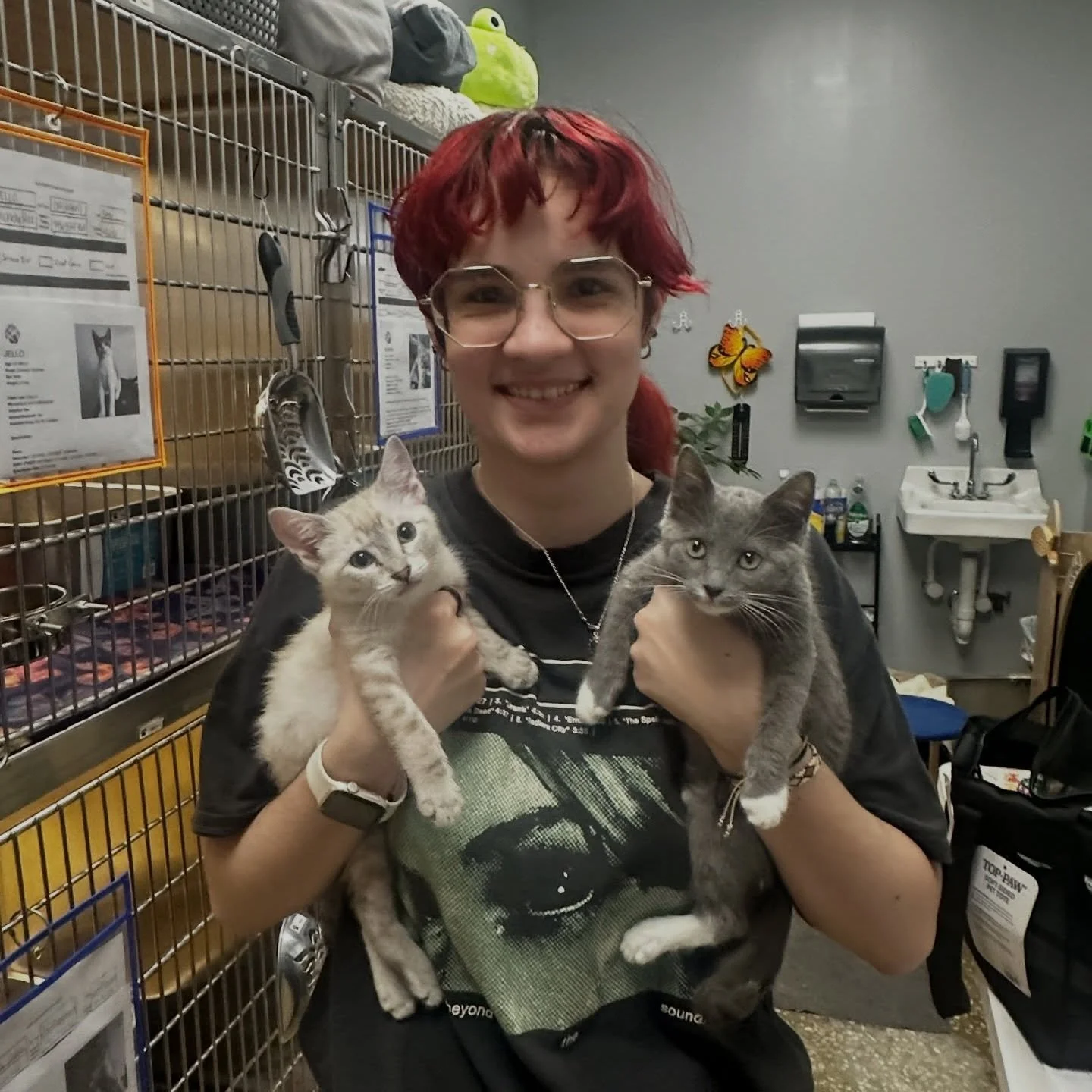 HAPPY TAILS 🐾✨ adoption roundup this week!!

Avocado, Wind, Fire (panleuk survivors!!), Toaster, and Thomas all found their forever homes this week and we couldn&rsquo;t be happier.

These babies have been through so much, especially Wind and Fire w