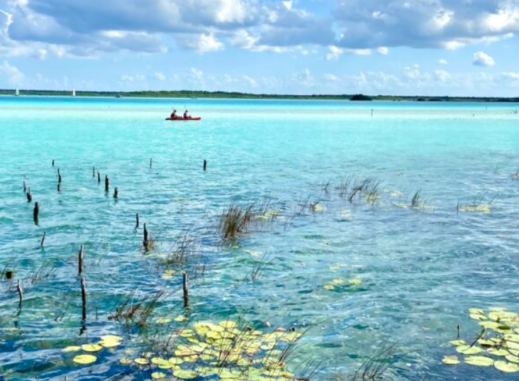 Screenshot 2026-04-03 175641.png