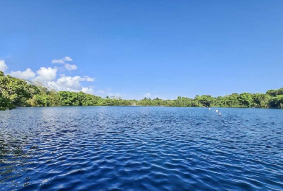 Screenshot 2026-04-03 175925.png