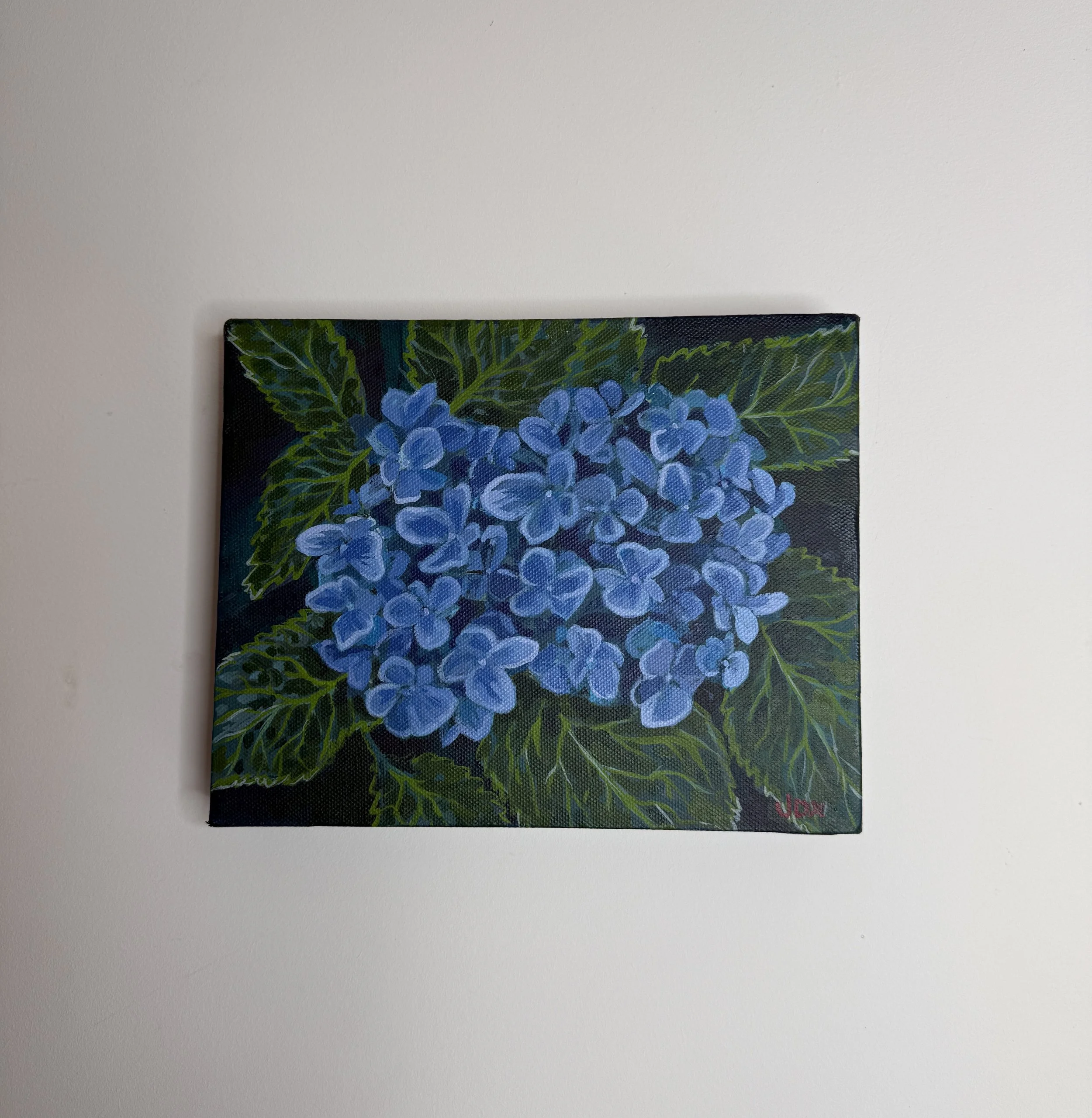 Hydrangea - painting on canvas - 20 x 25 x 3