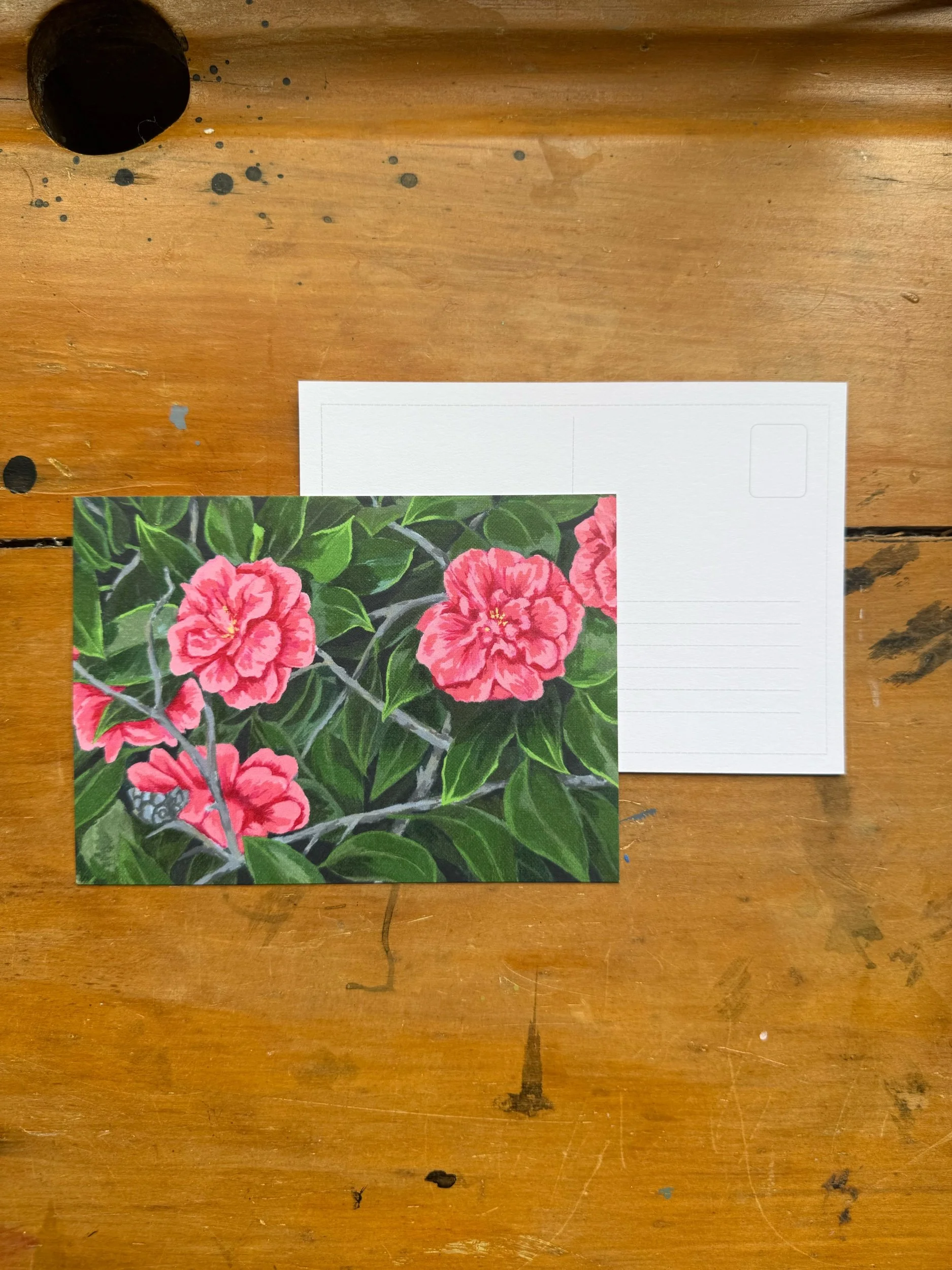 Camellia post card