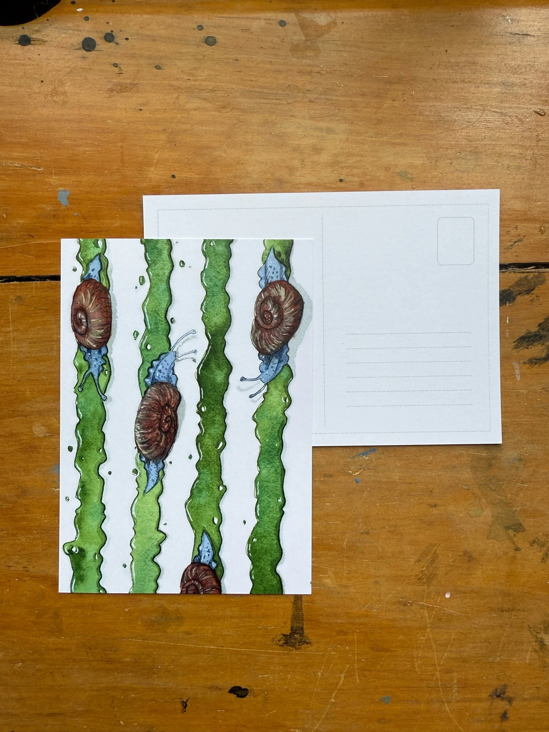 Snail mail post card