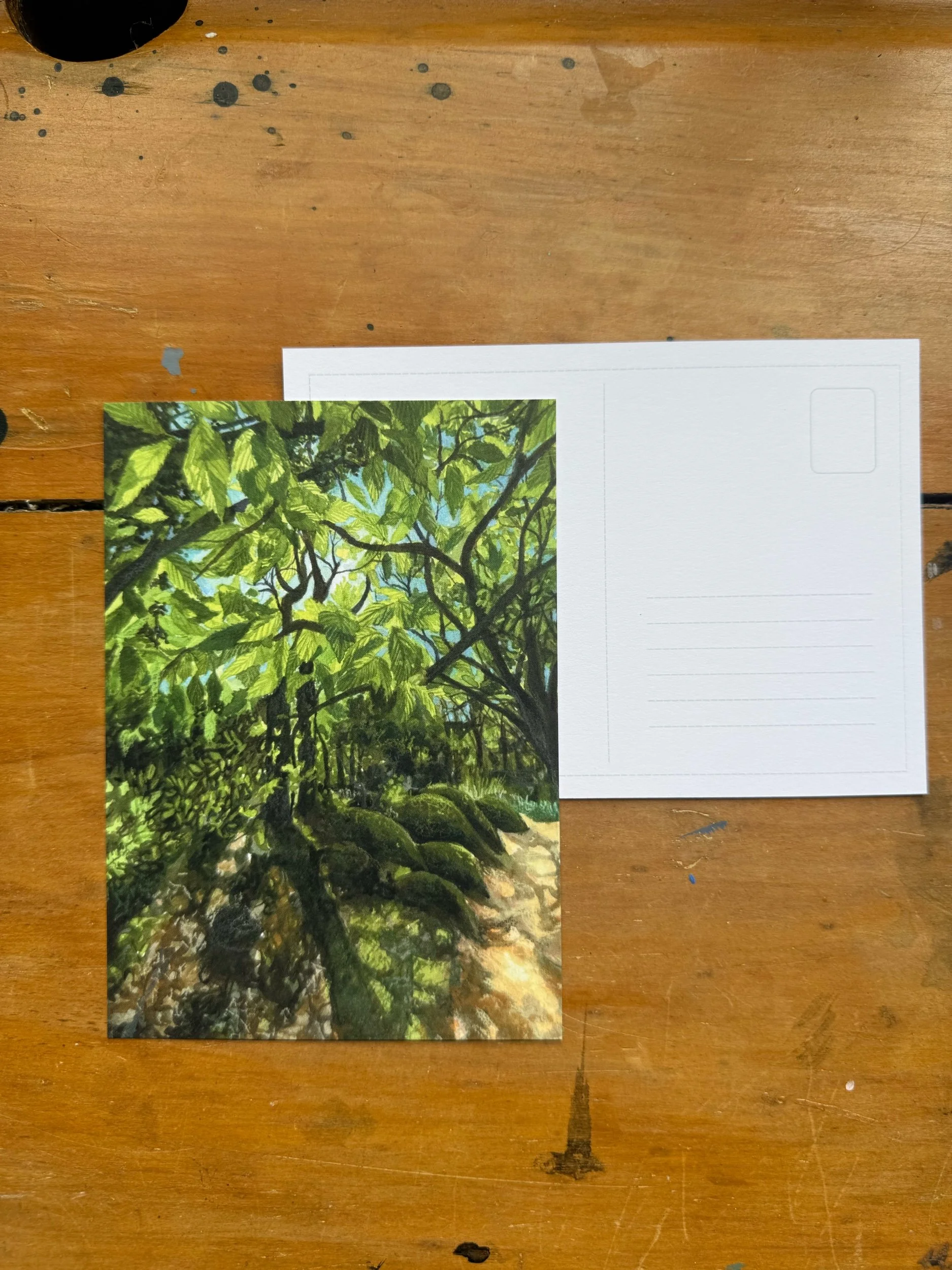 Golden light postcard