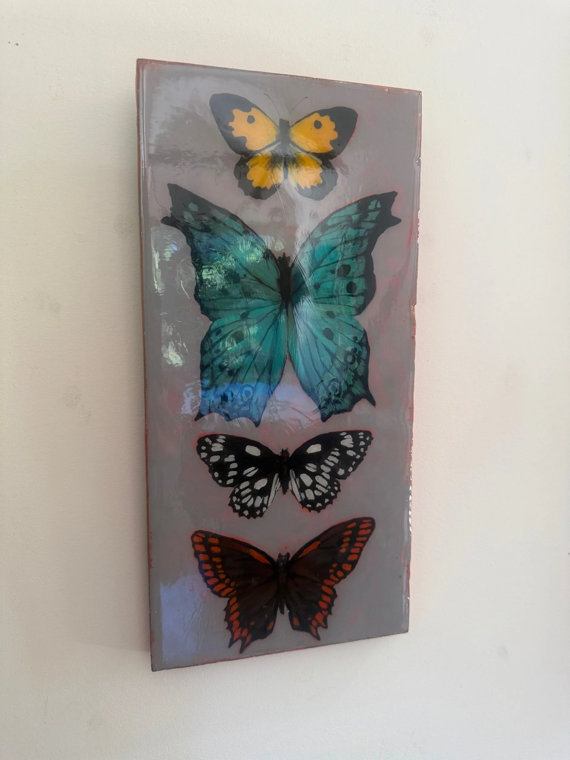 Butterfly specimen case one - 31.5 x 15 cm - acrylic on wooden board