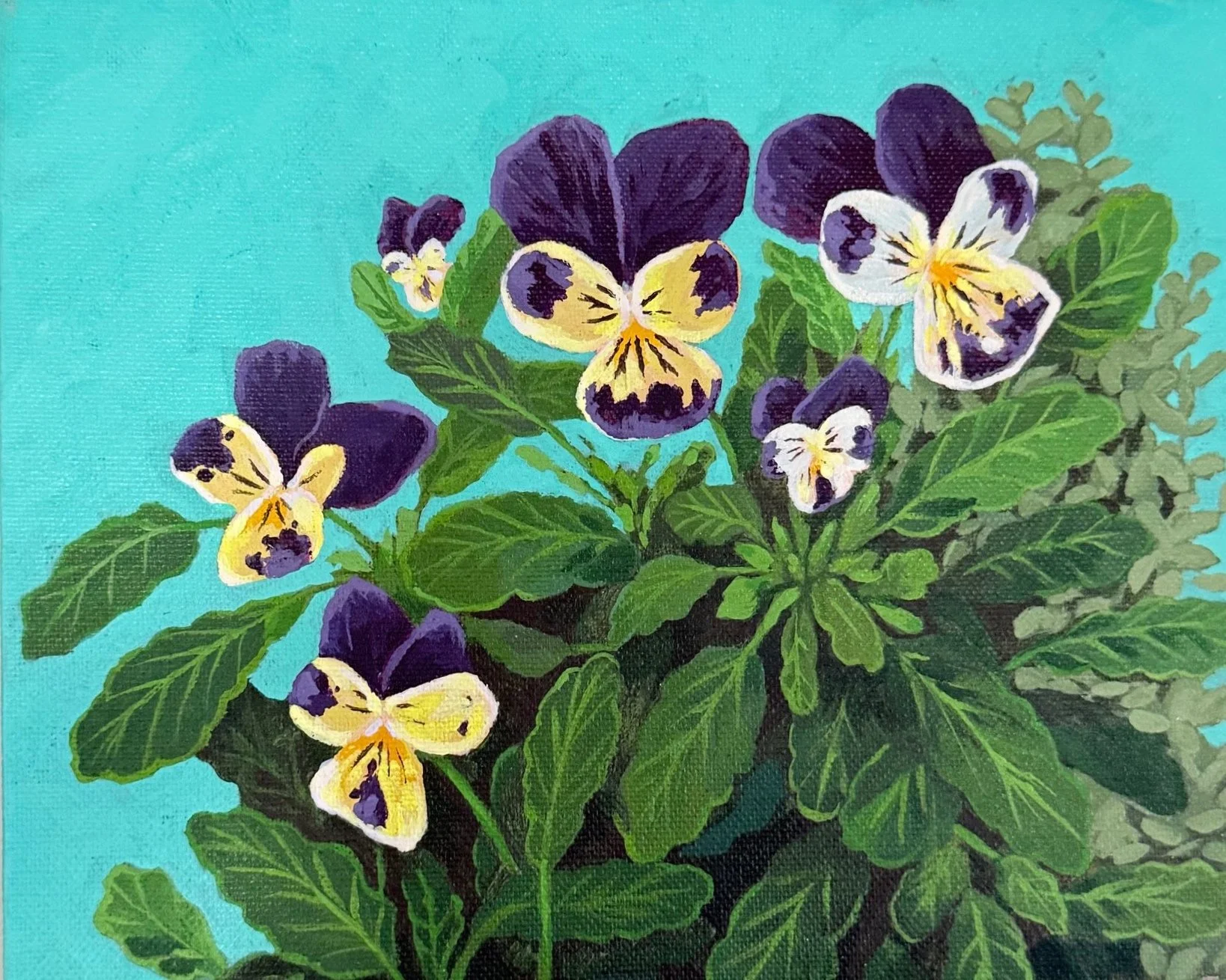 Pansys in the garden - acrylic on canvas 25 x 20 x 3 cm