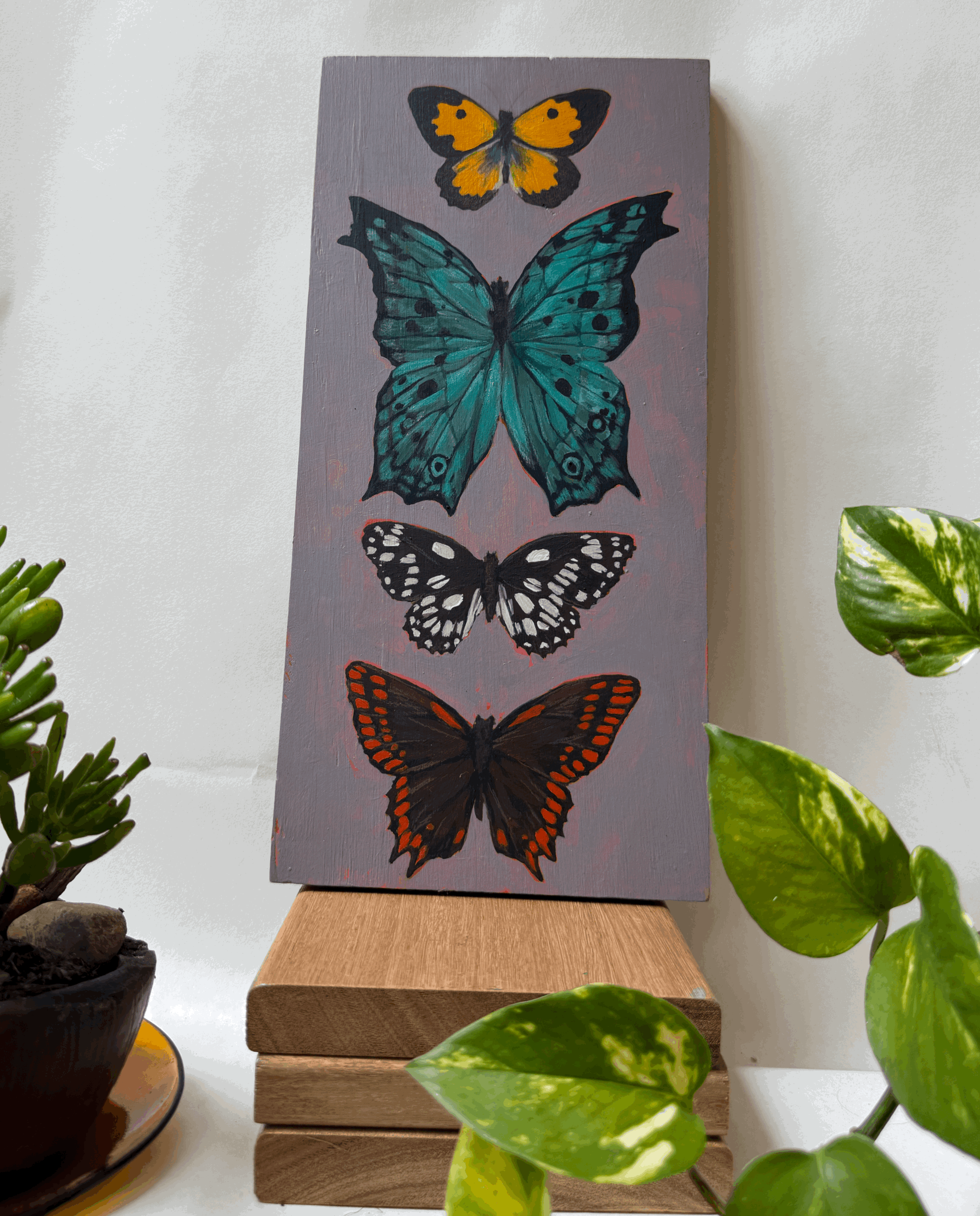 Butterfly specimen case one - 31.5 x 15 cm - acrylic on wooden board