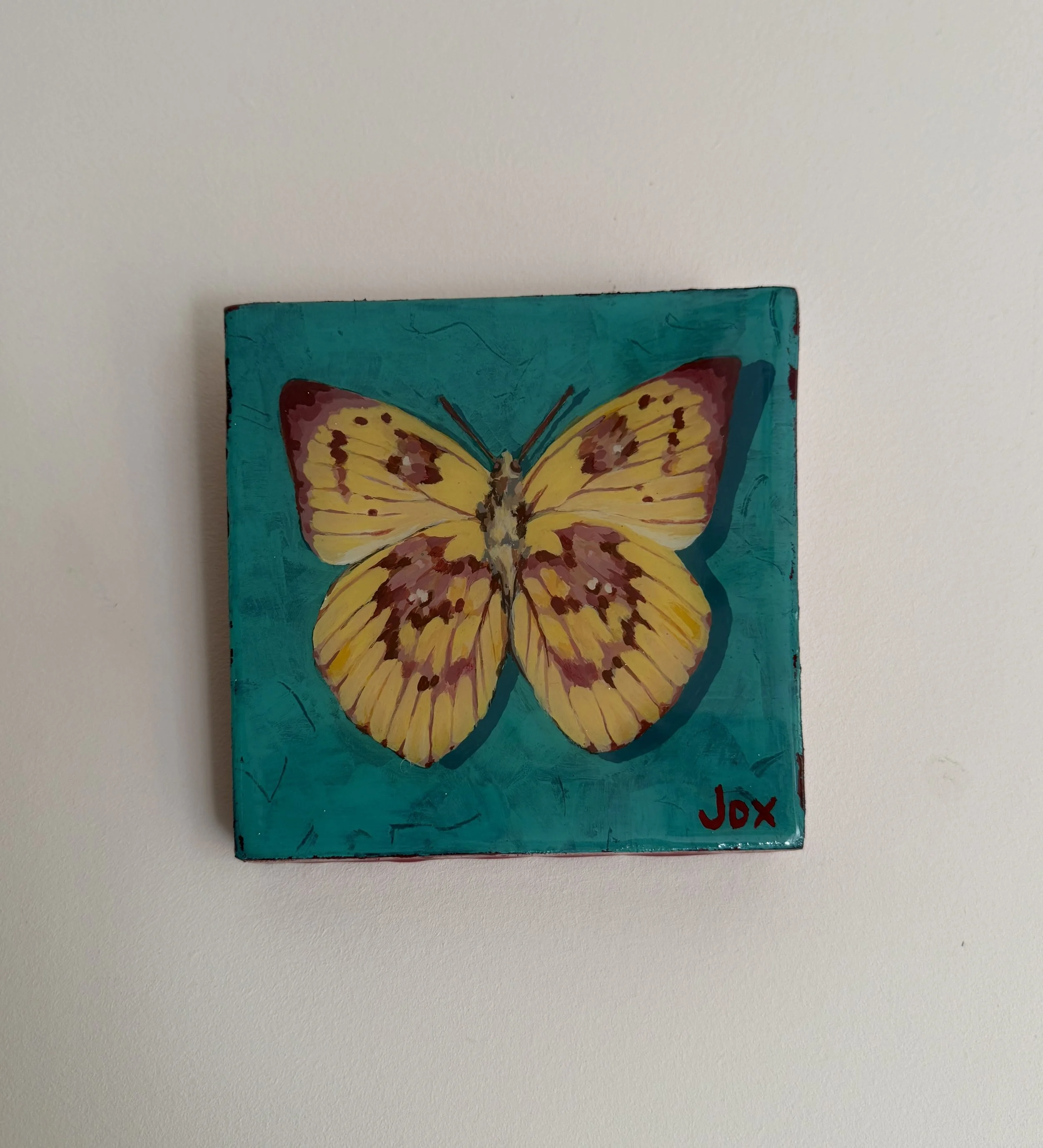 Buttery butterfly specimen - 15 x 15 cm -acrylic painting on wooden board