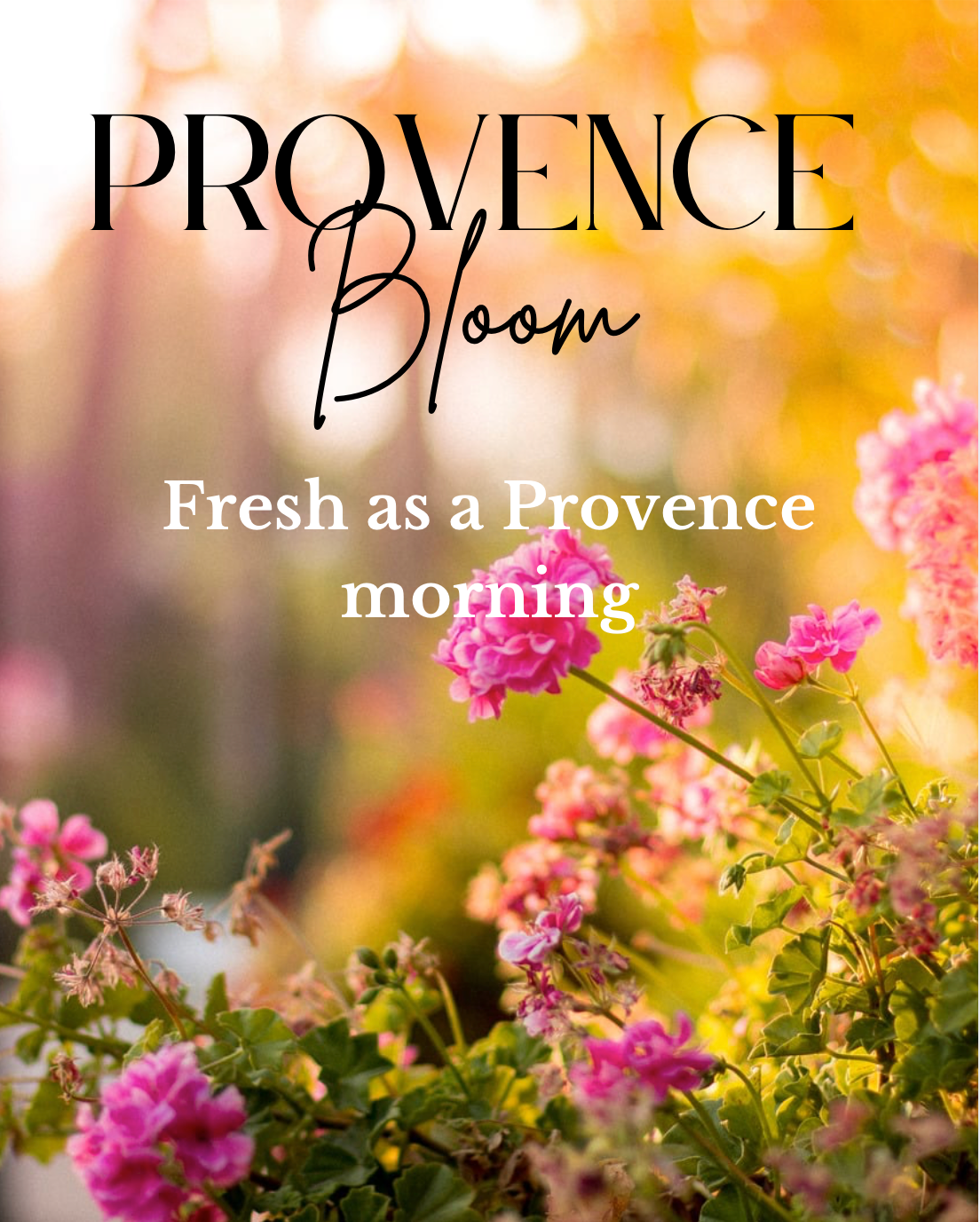 Summer Scent 2026-Provence Bloom.png