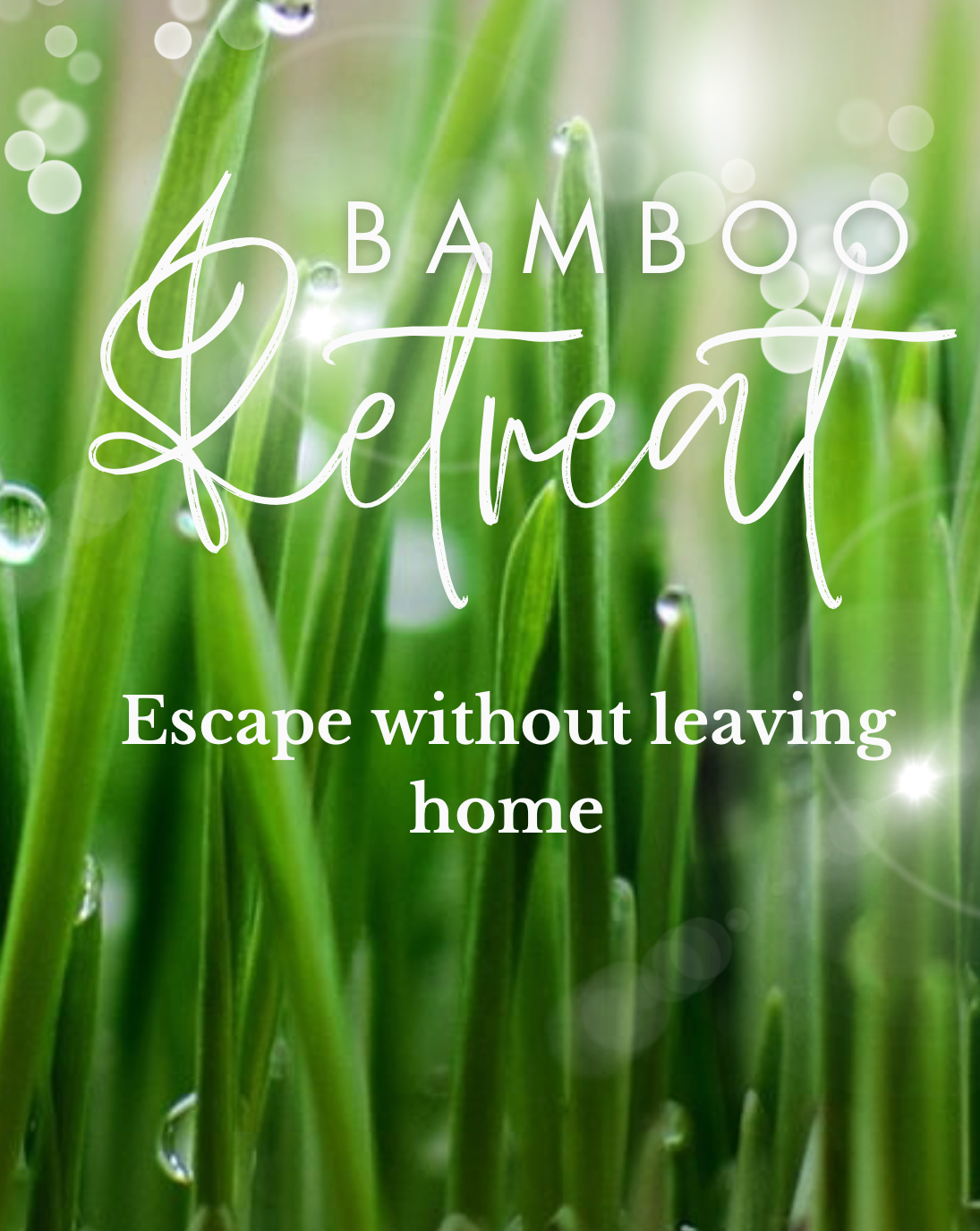 Summer Scent 2026-Bamboo Retreat.png