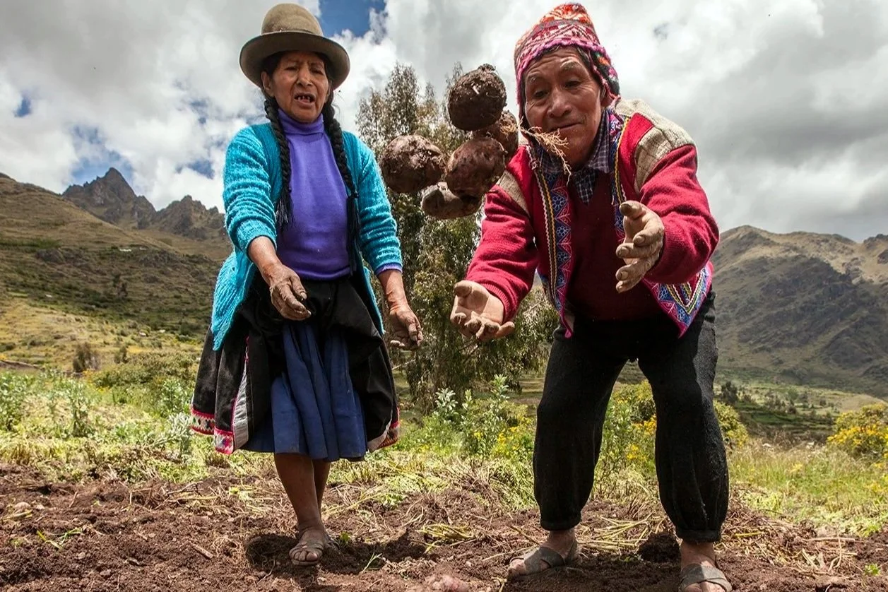 Coming soon: Defining culture with food