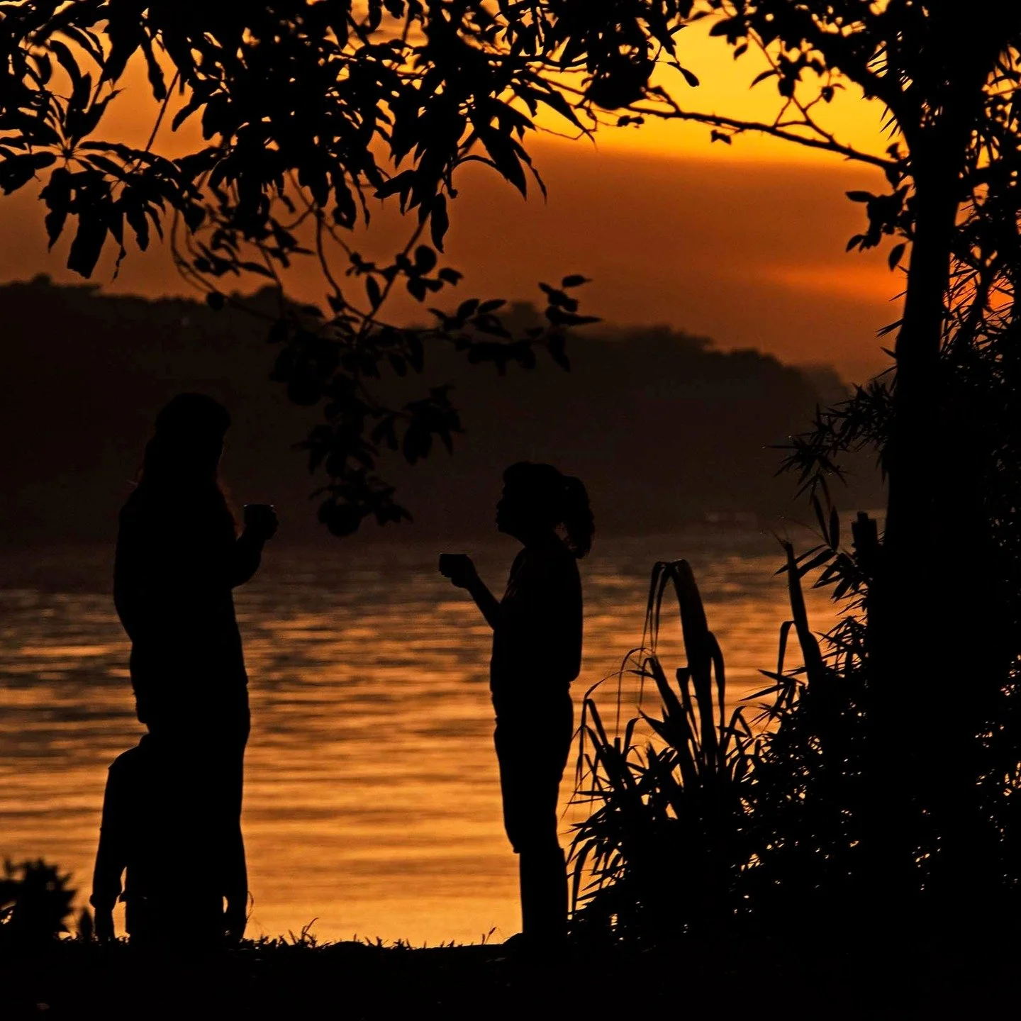 It's crazy to think that this picture was taken in the same country as coastal Lima and Andean Cusco 🤯 Peru is such a diverse country it's difficult to fathom. 
 
 
 
 
 
 
 
 
 
 
 
 
 #peru
#visitperu
#exploreperu
#perutravel
#amazonrainforest
#an