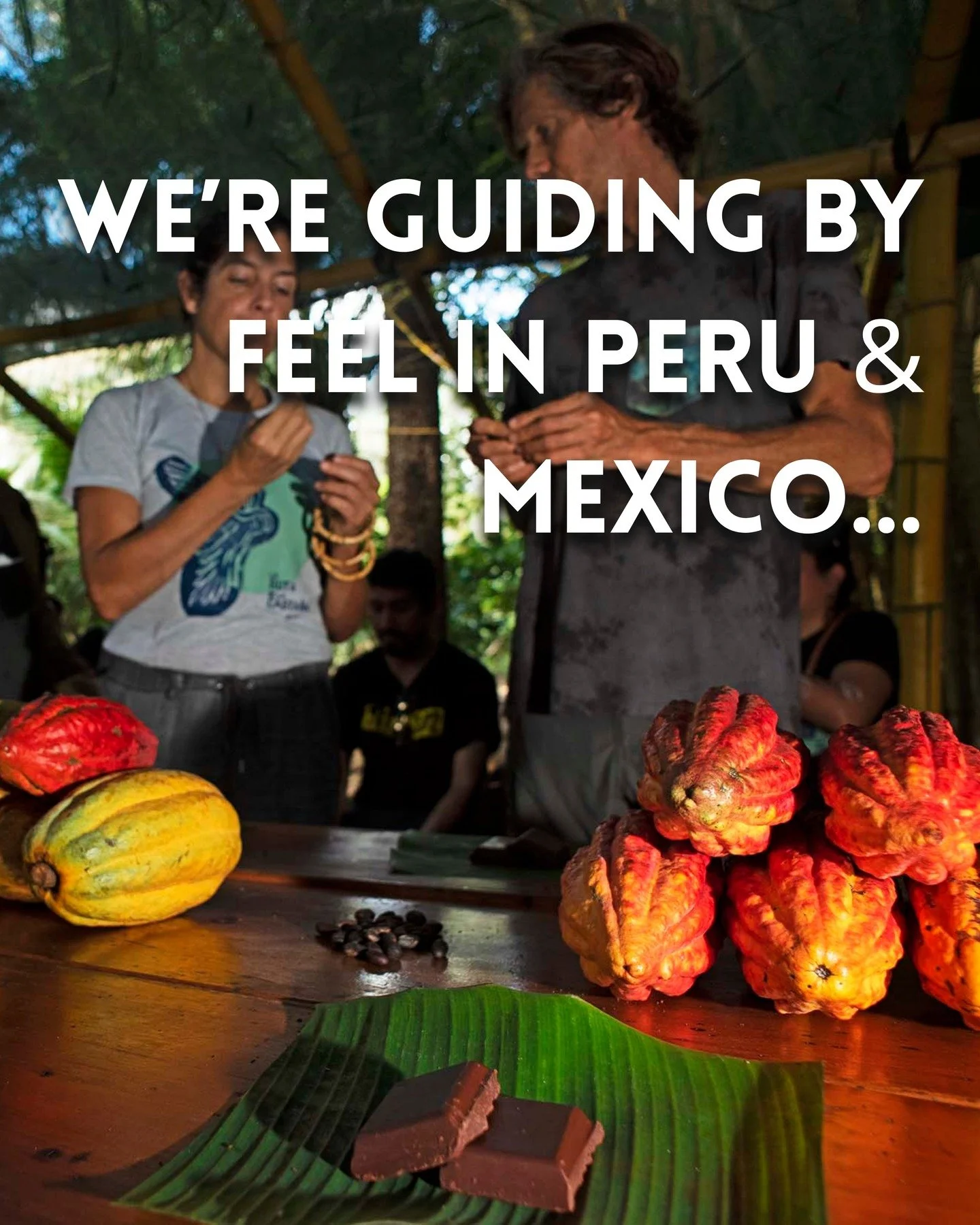 Clickedy click your way on over to our blog to see why these two are the best in the biz.
 
 
Link in bio, clearly.