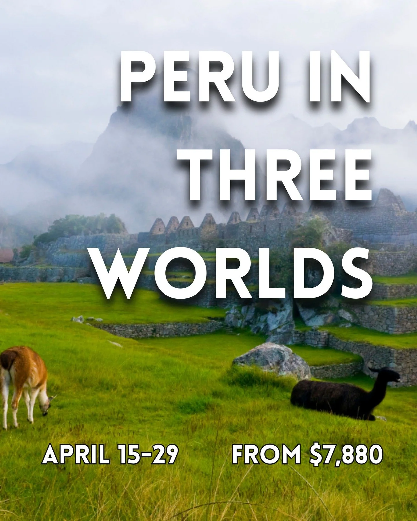 In just 15 days we'll take you on a journey like no other to explore the stories, histories, and origins of three entirely different cuisines, all in one country: Peru.
 
Start with ceviche like no other in Lima, followed by a biodiversity table in t