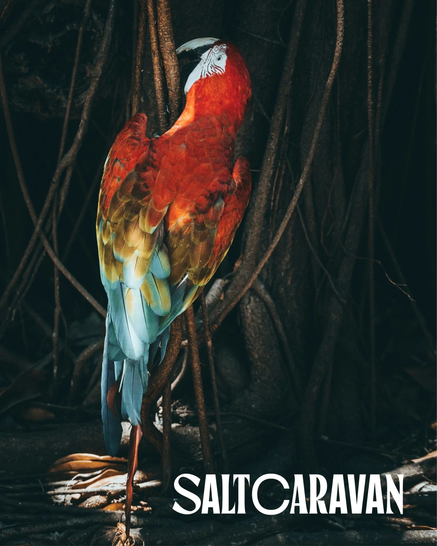 Change is good. And it's coming...