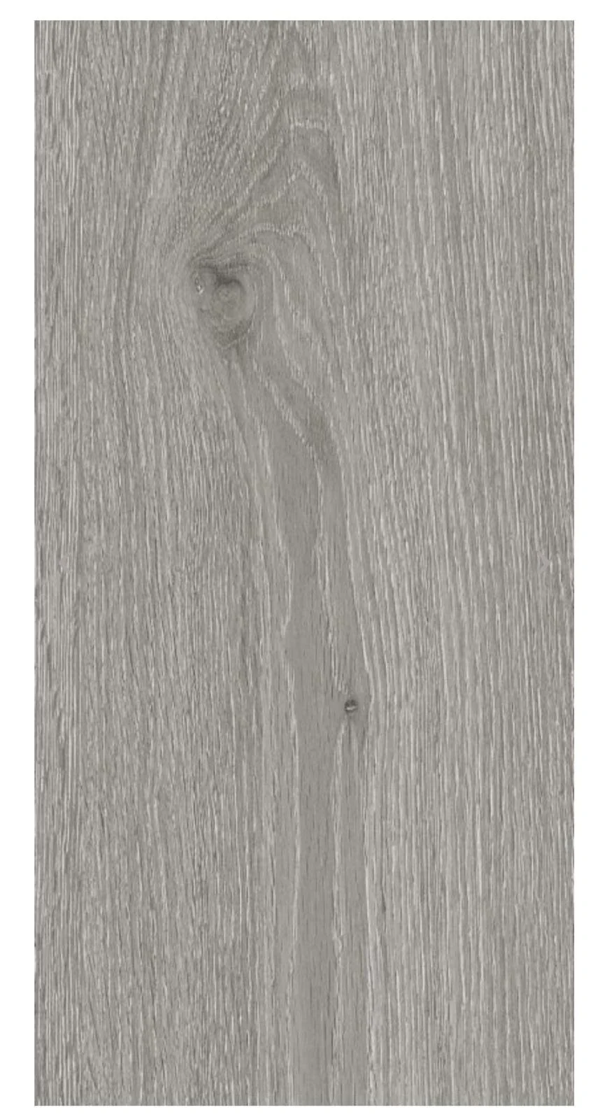 WhatsApp Image 2026-02-01 at 10.04.46 PM.jpeg