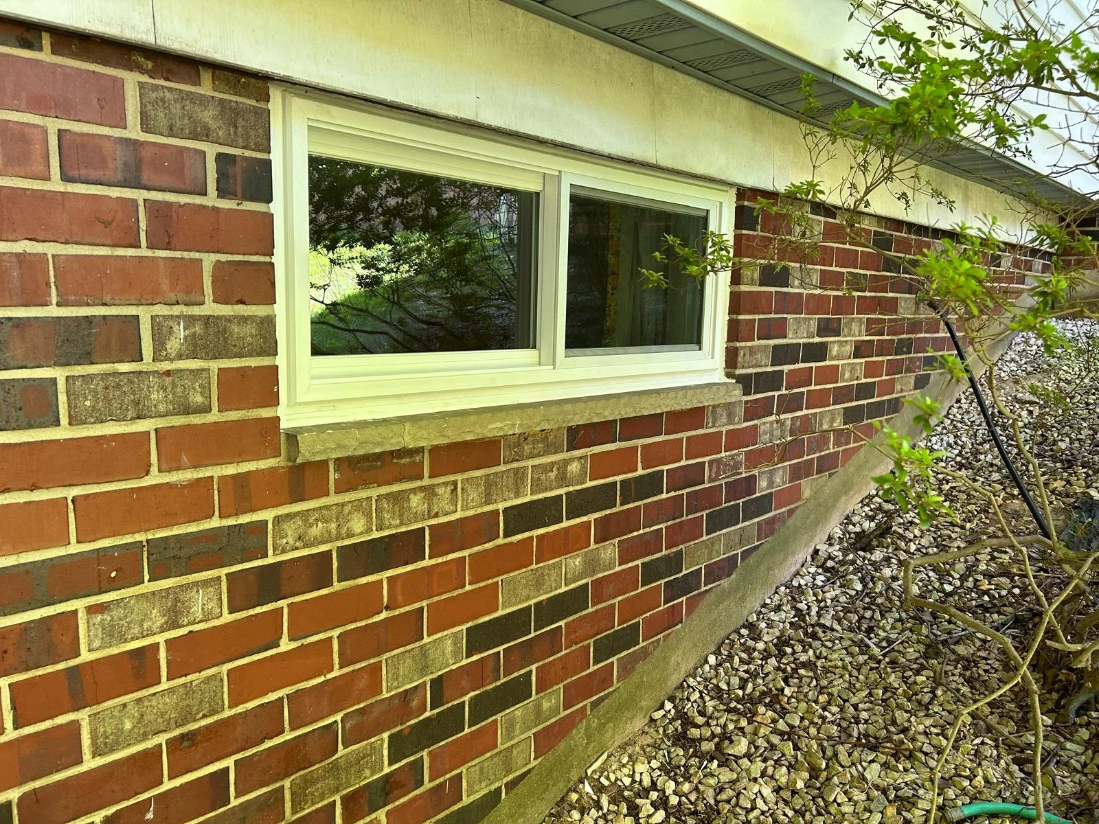 Exterior view of a brick house wall with a small window and a plant with green leaves growing outside.