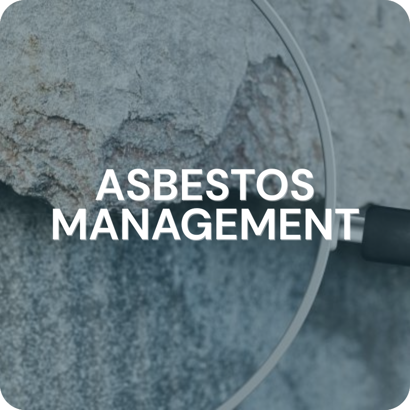 looking at asbestos on a wall