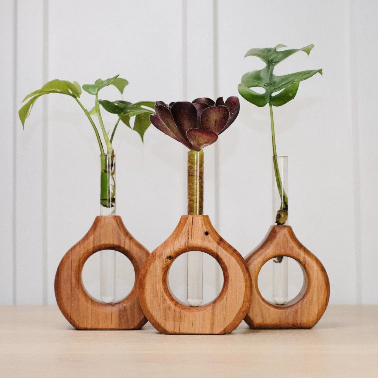 Custom designed NZ native timber propagation stations. Bring colour and life to your Whare.